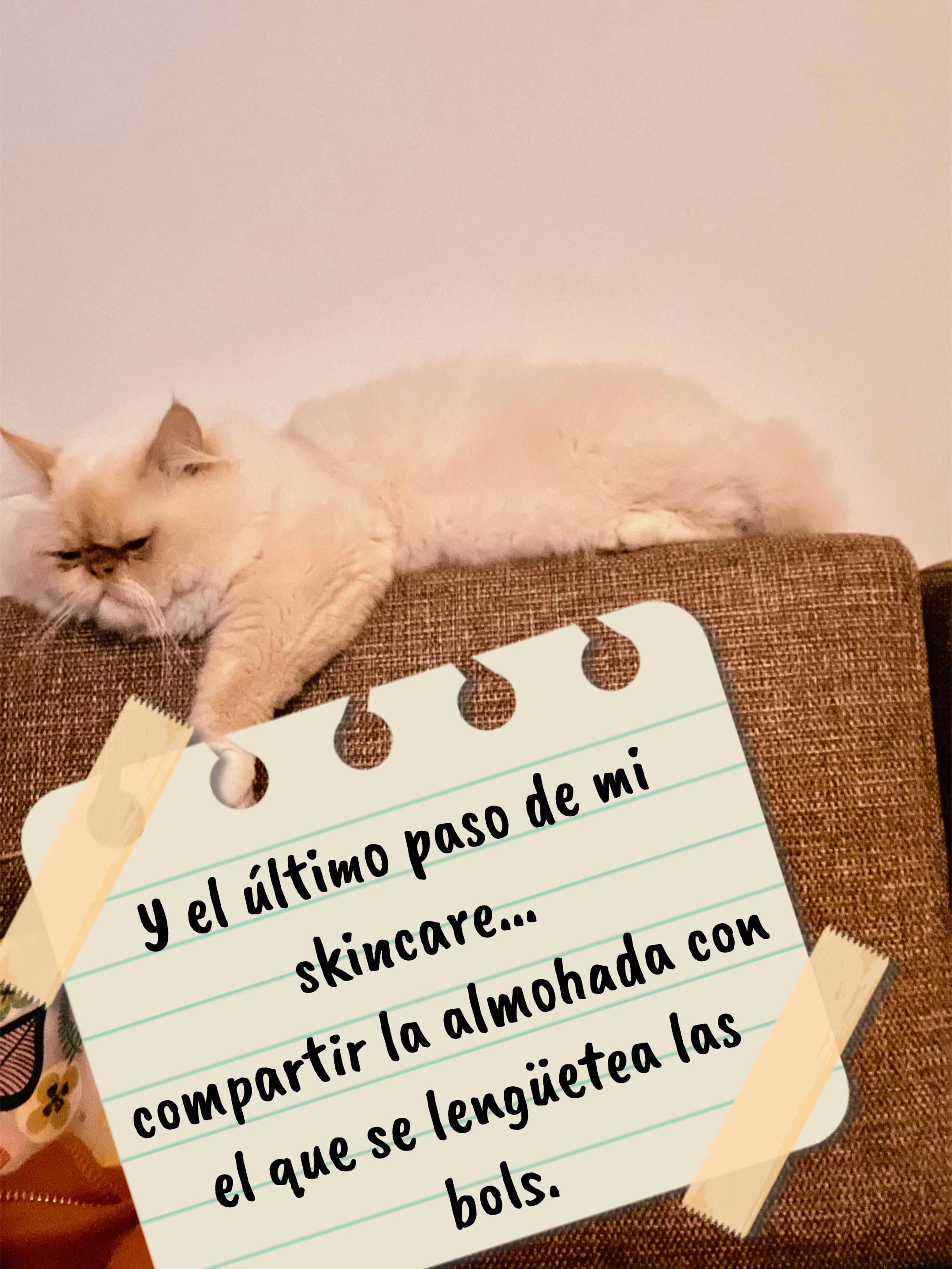 @Mari VerSa