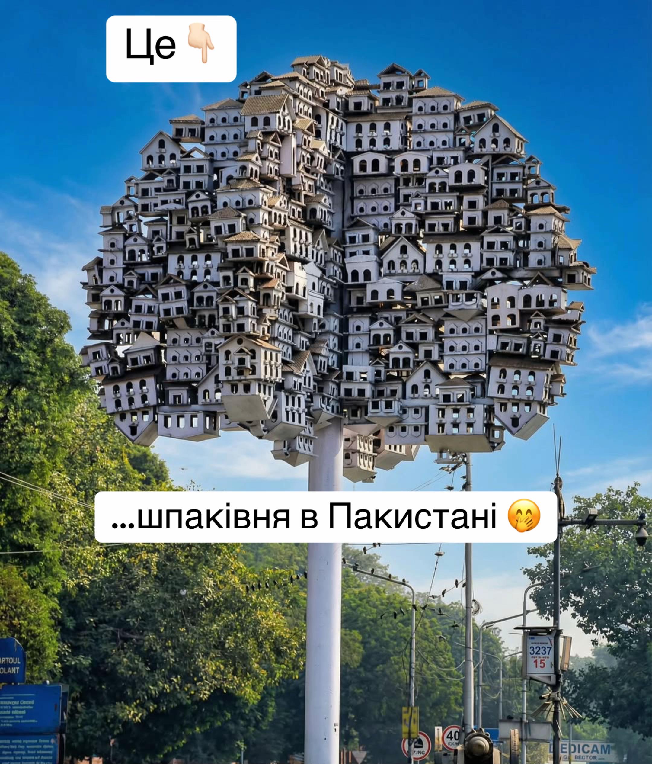 @Фото з історією