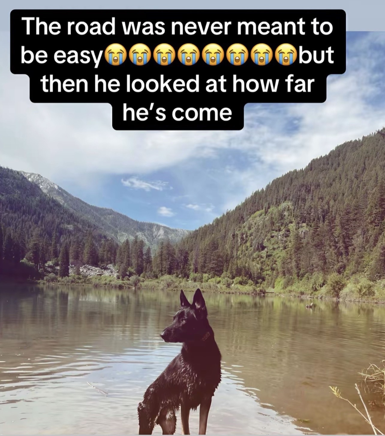 @IG: @nqcraig