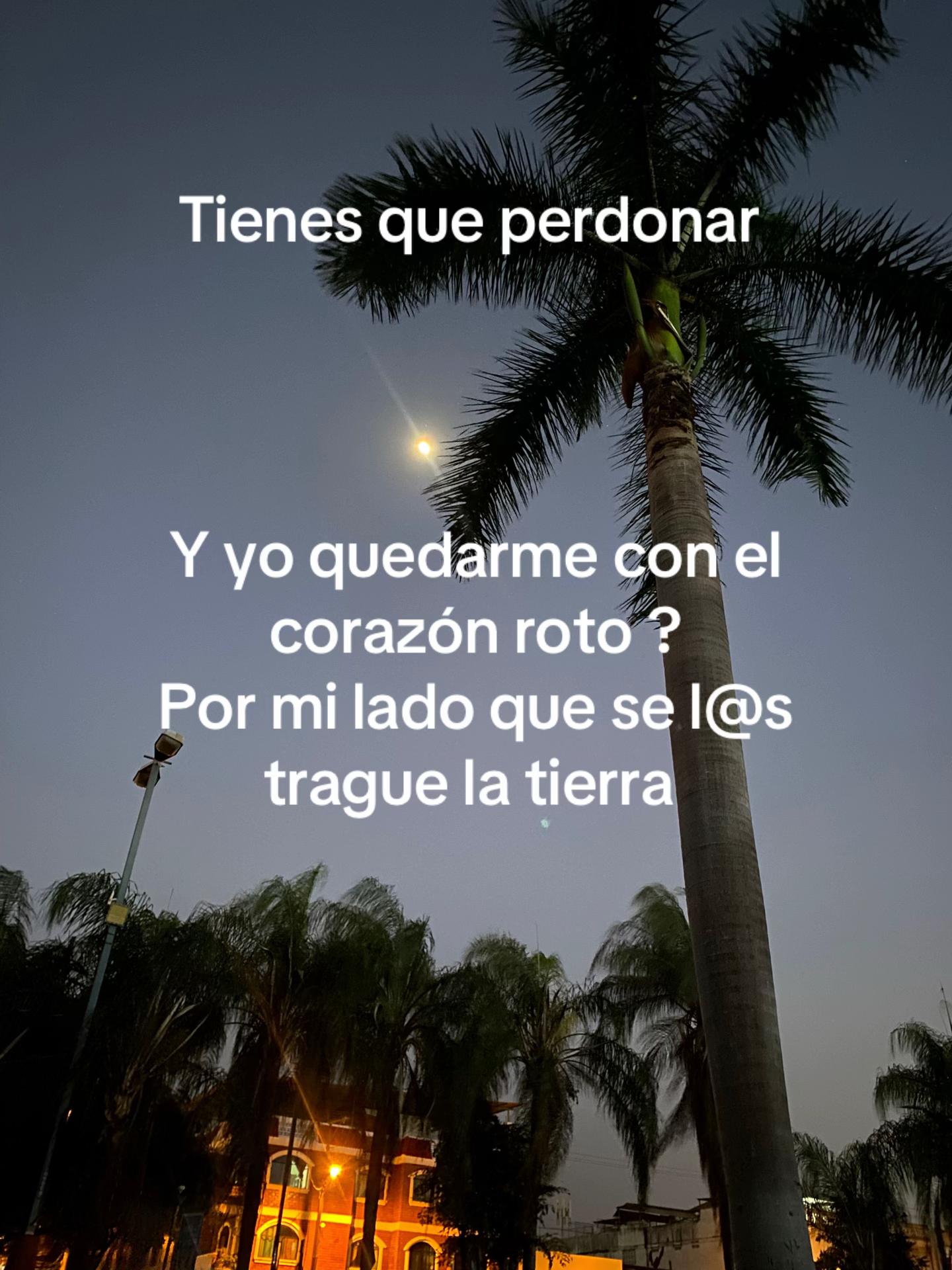 @🫧KATIU🧊🍷