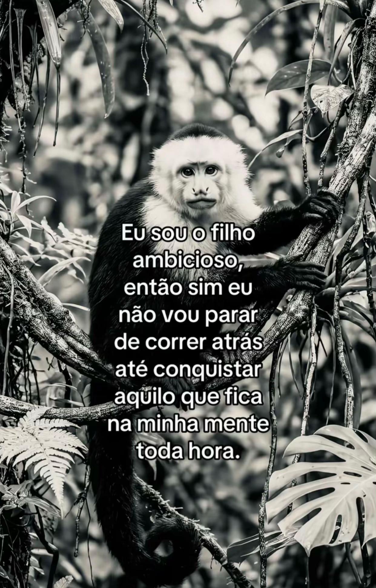 @Efip&ecirc; 🔝
