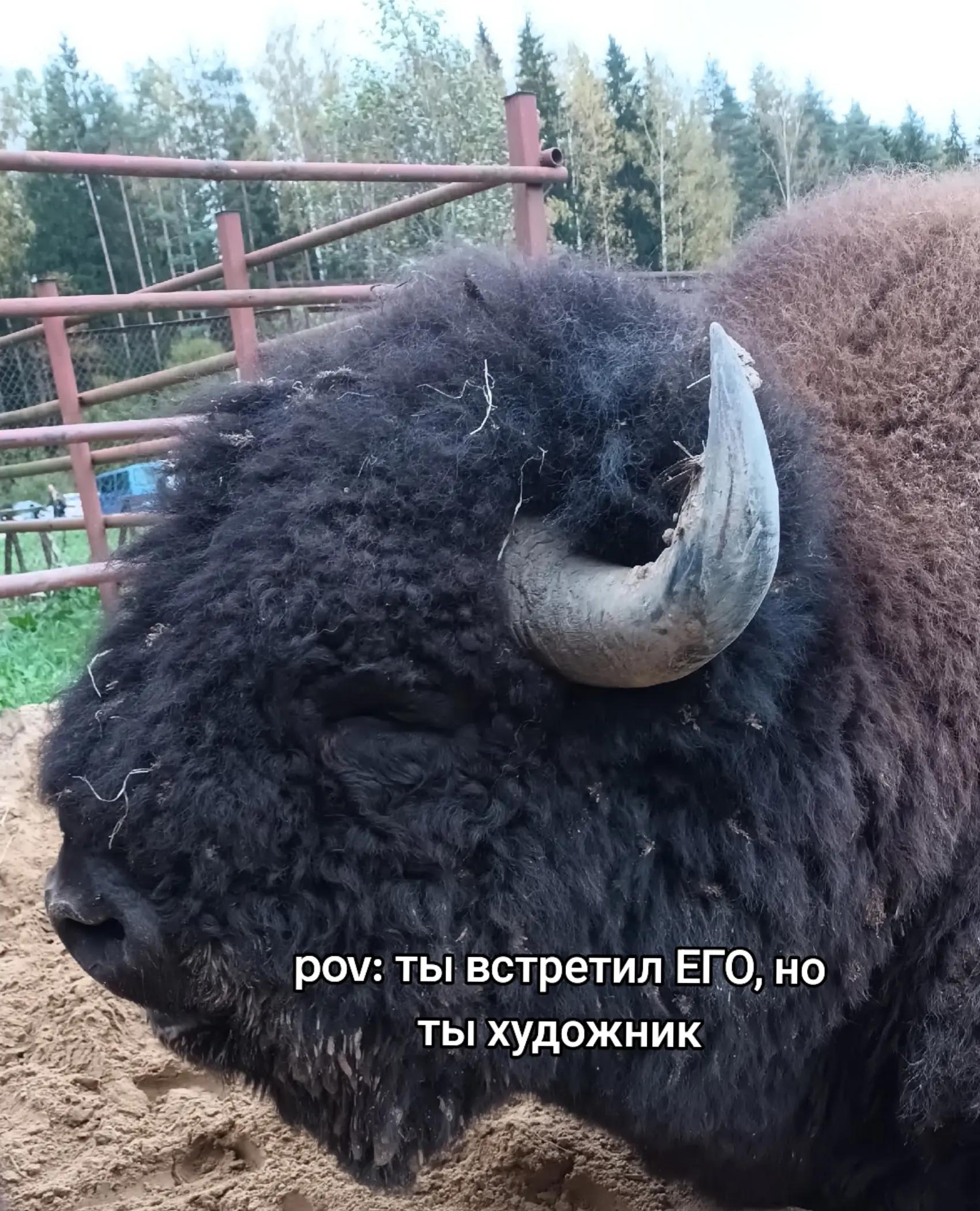@💌Феня 💌