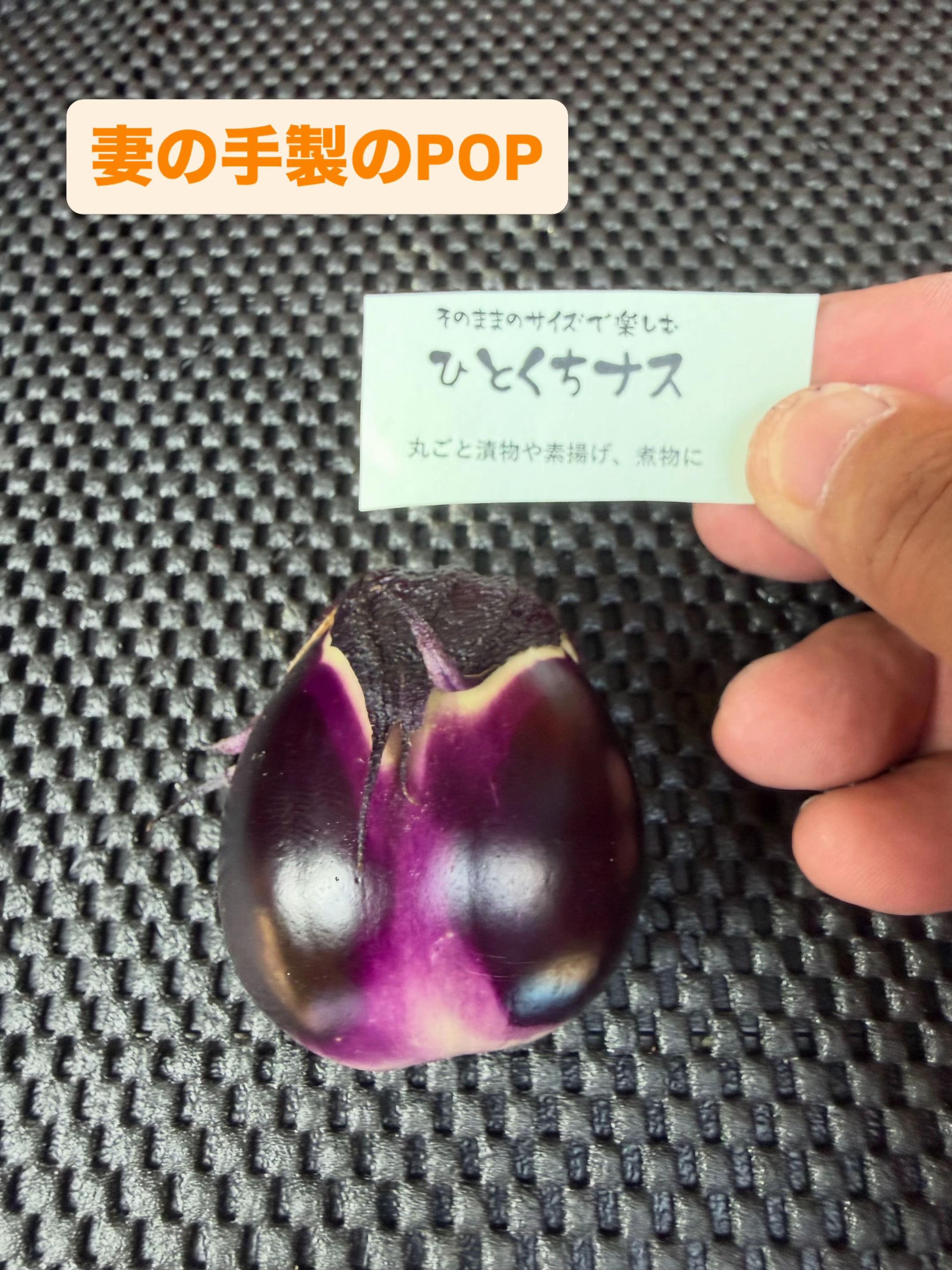 @堀井農園