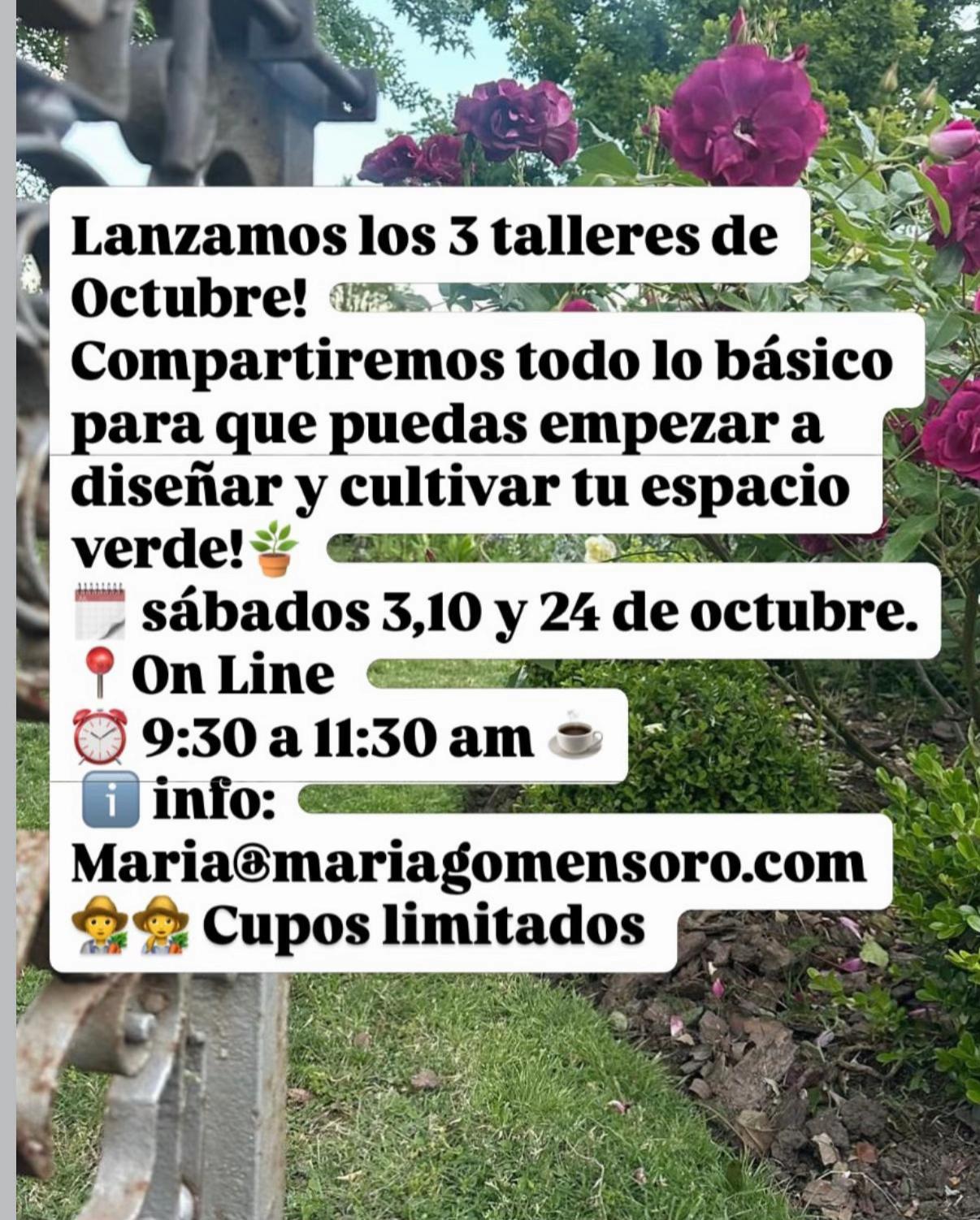 @Maria Gomensoro🌹