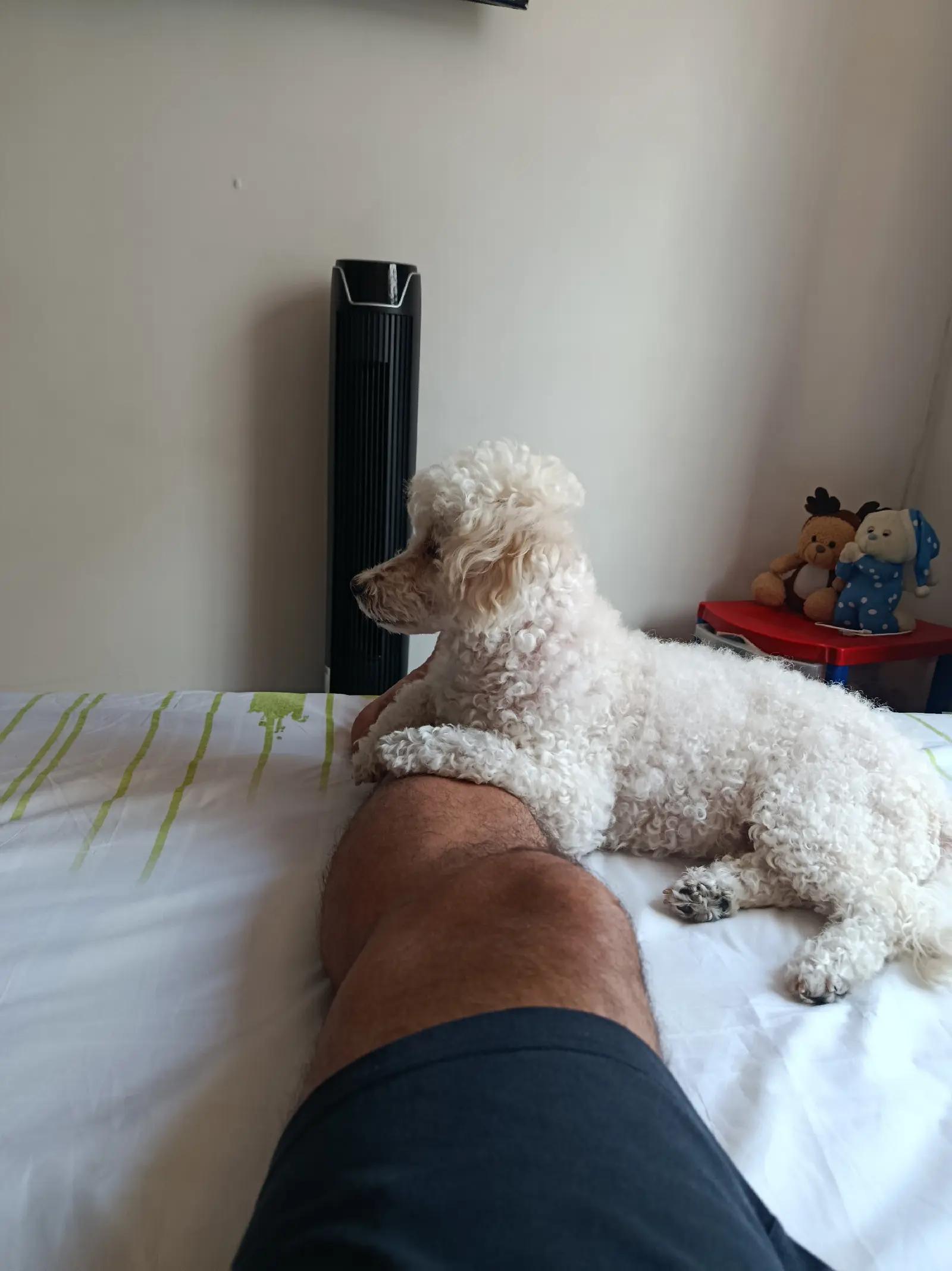 @Yoyitoooo