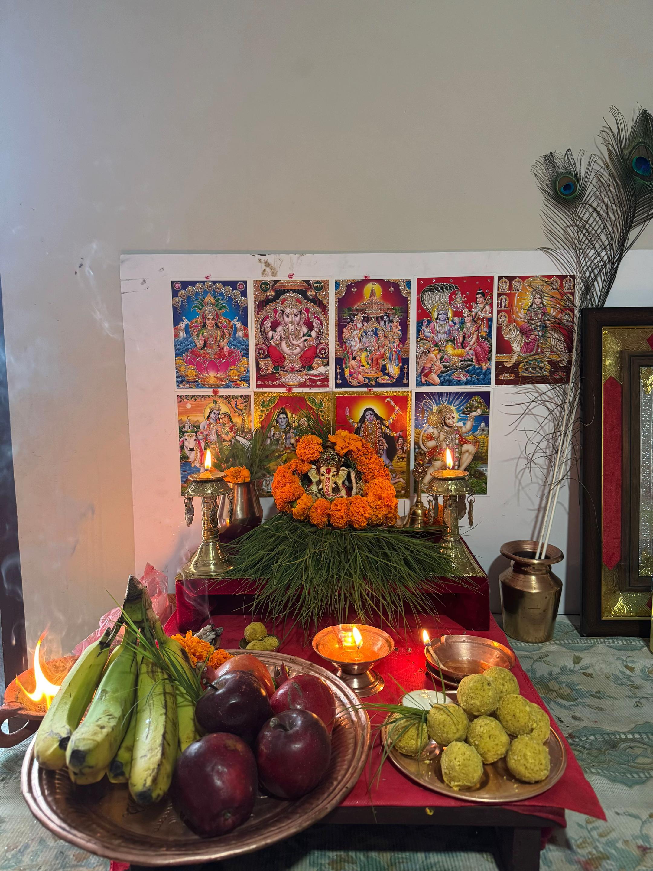 @Sandhya Khatri