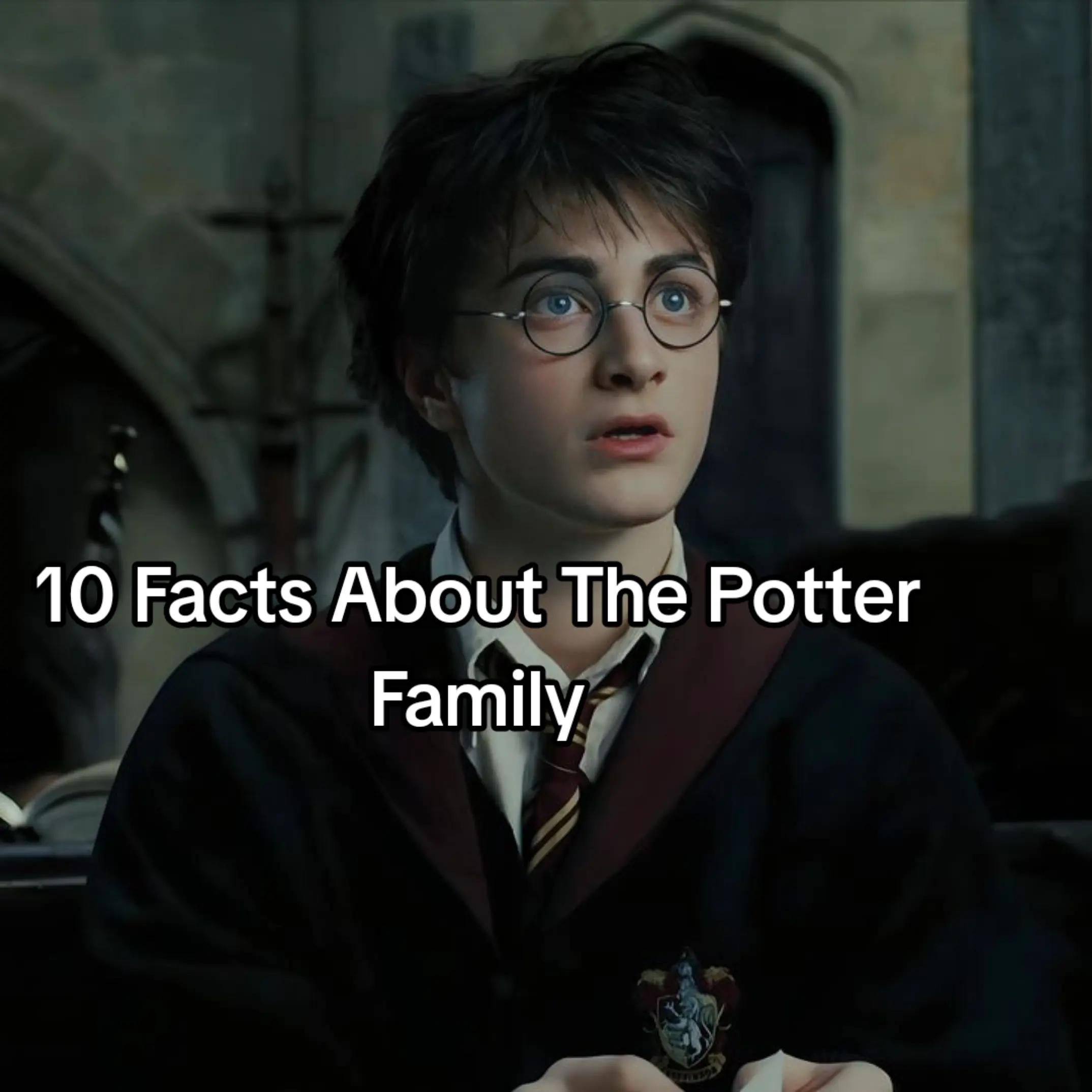 @Gryffindor Boy🦁