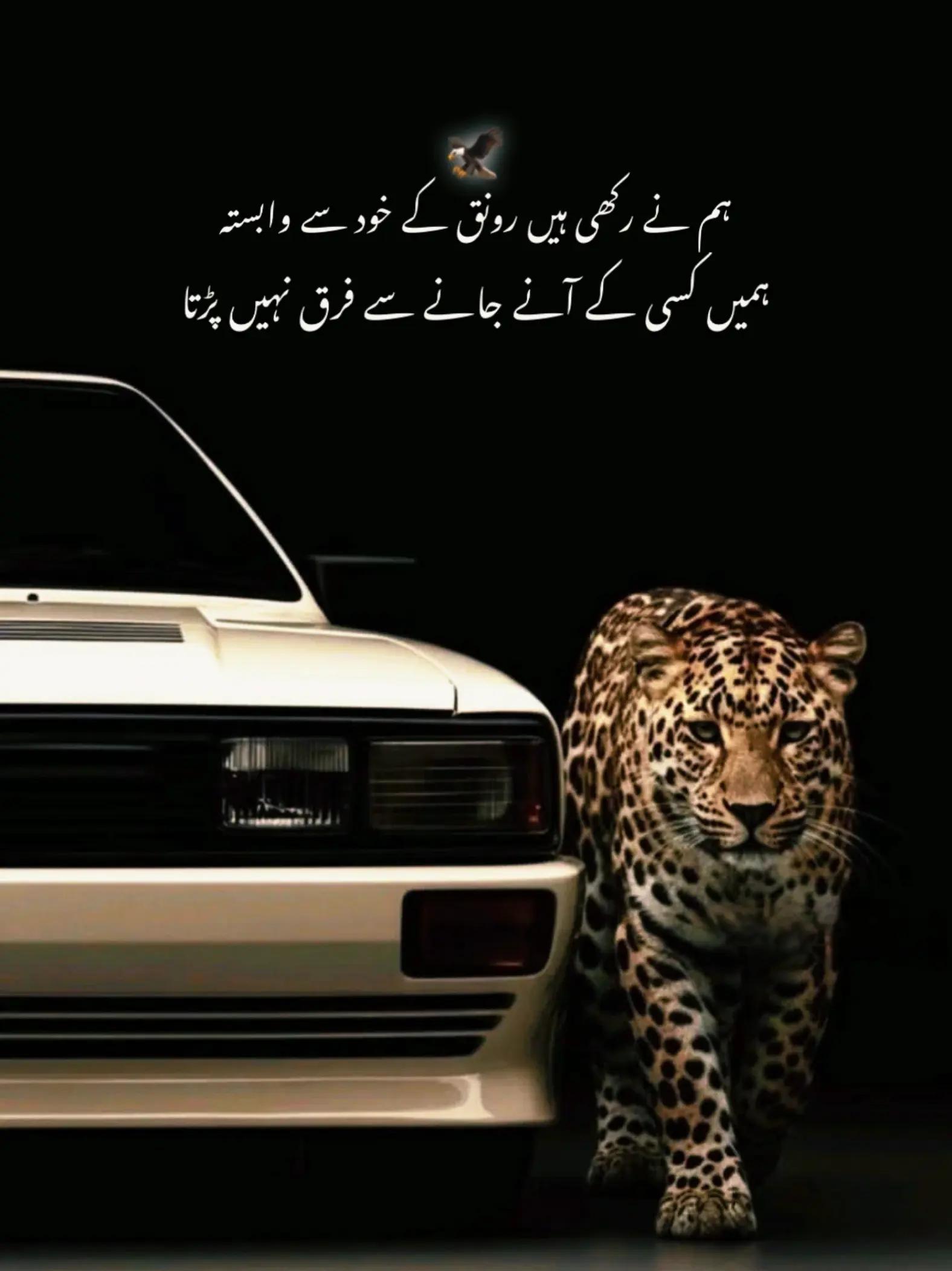 @🏴☠️❤️🔥༒ALIRAZAᴮᴼˢˢ🔱🚩⚔️