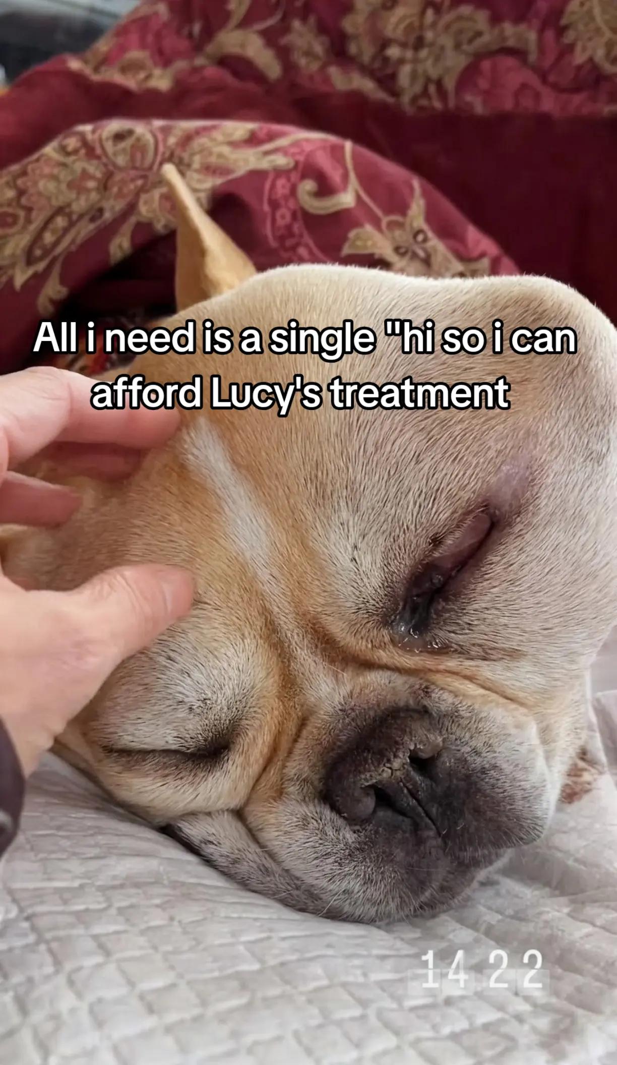 @CancerFighterPup
