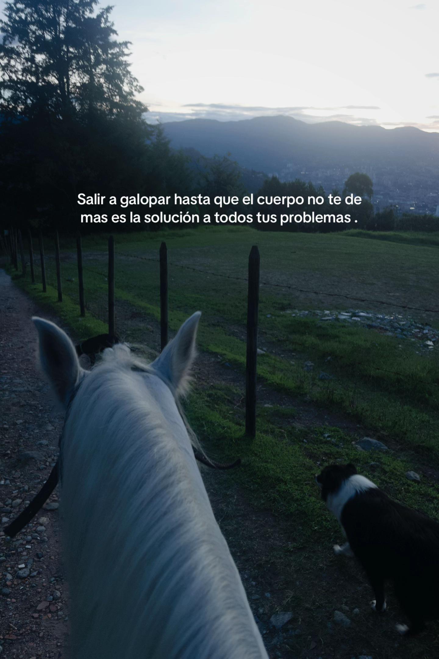 @Valen