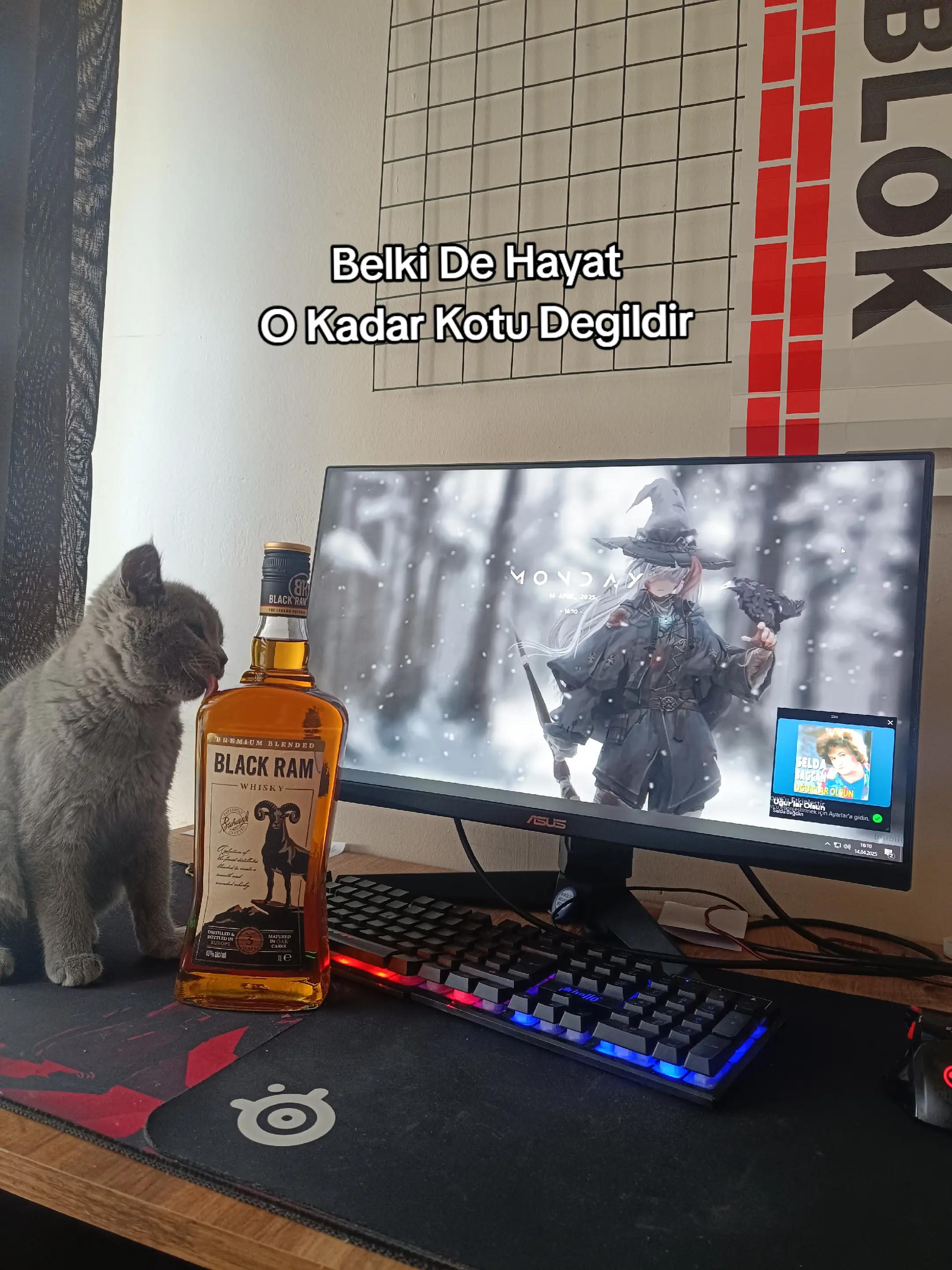 @nizoylcn