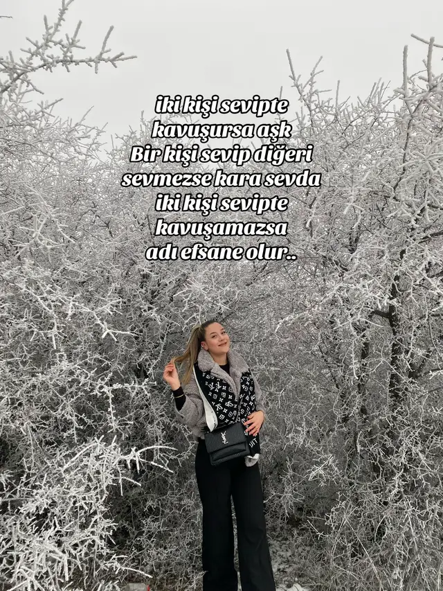 @Selinn