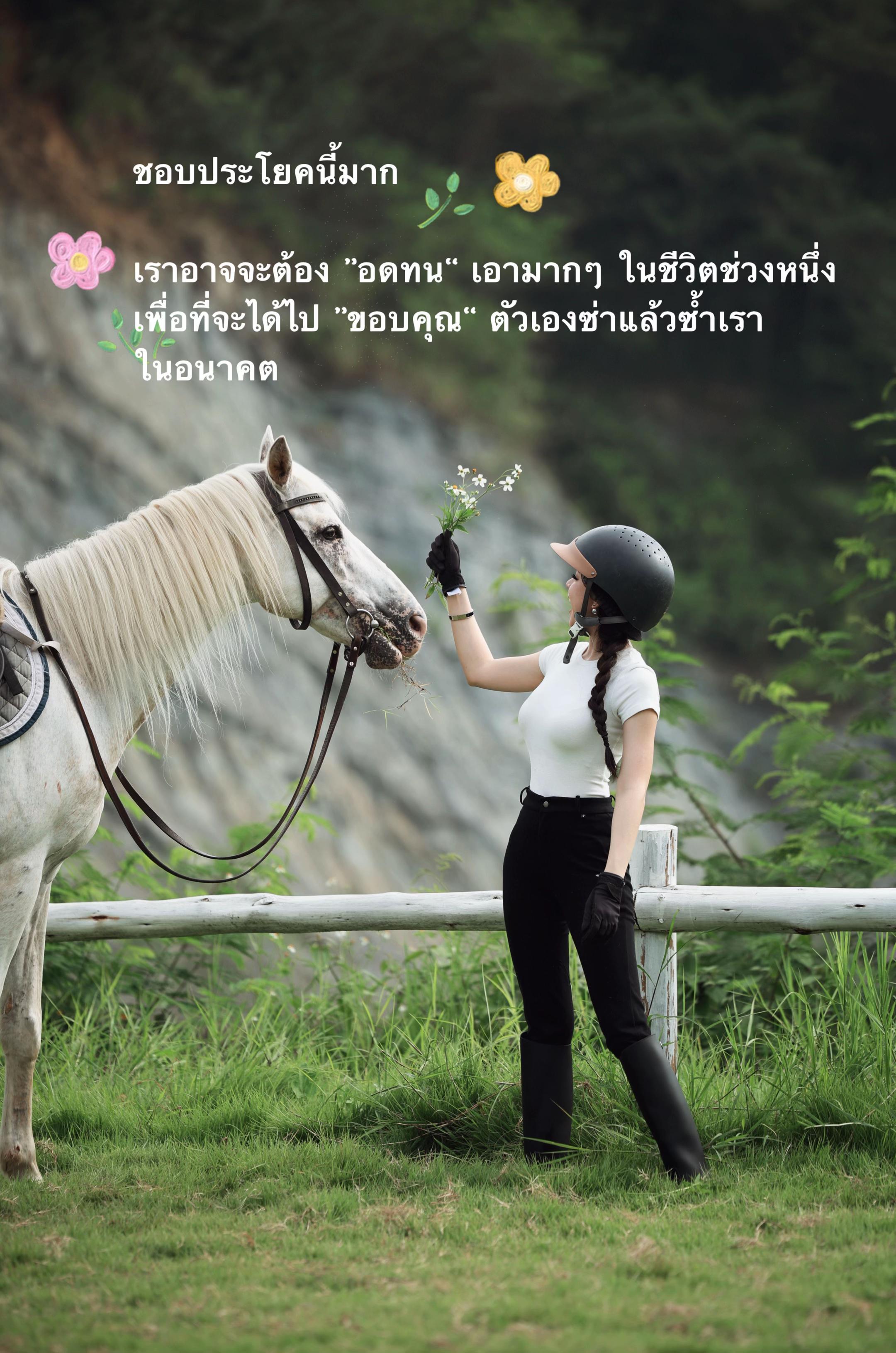 @icesassy