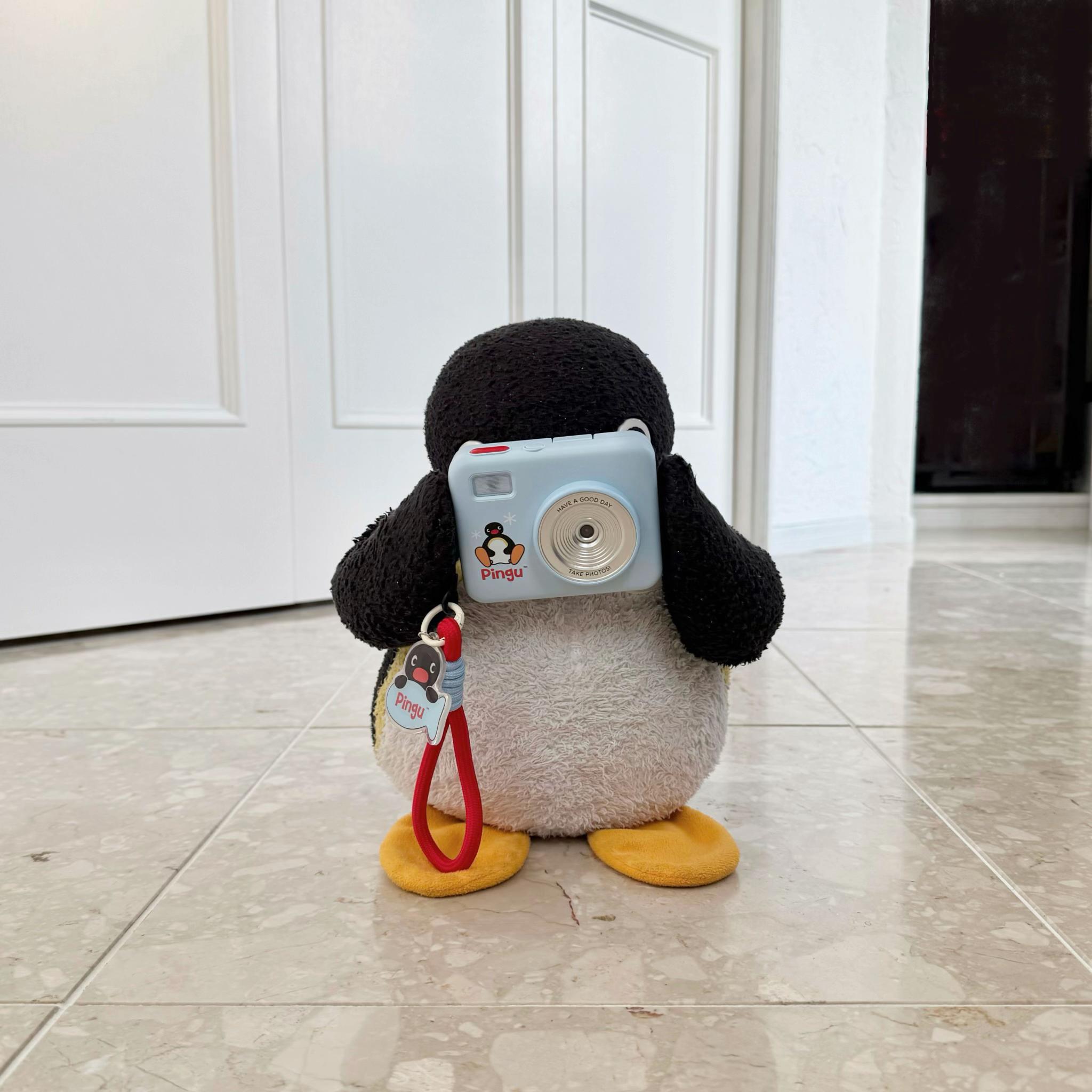 @pingmyping