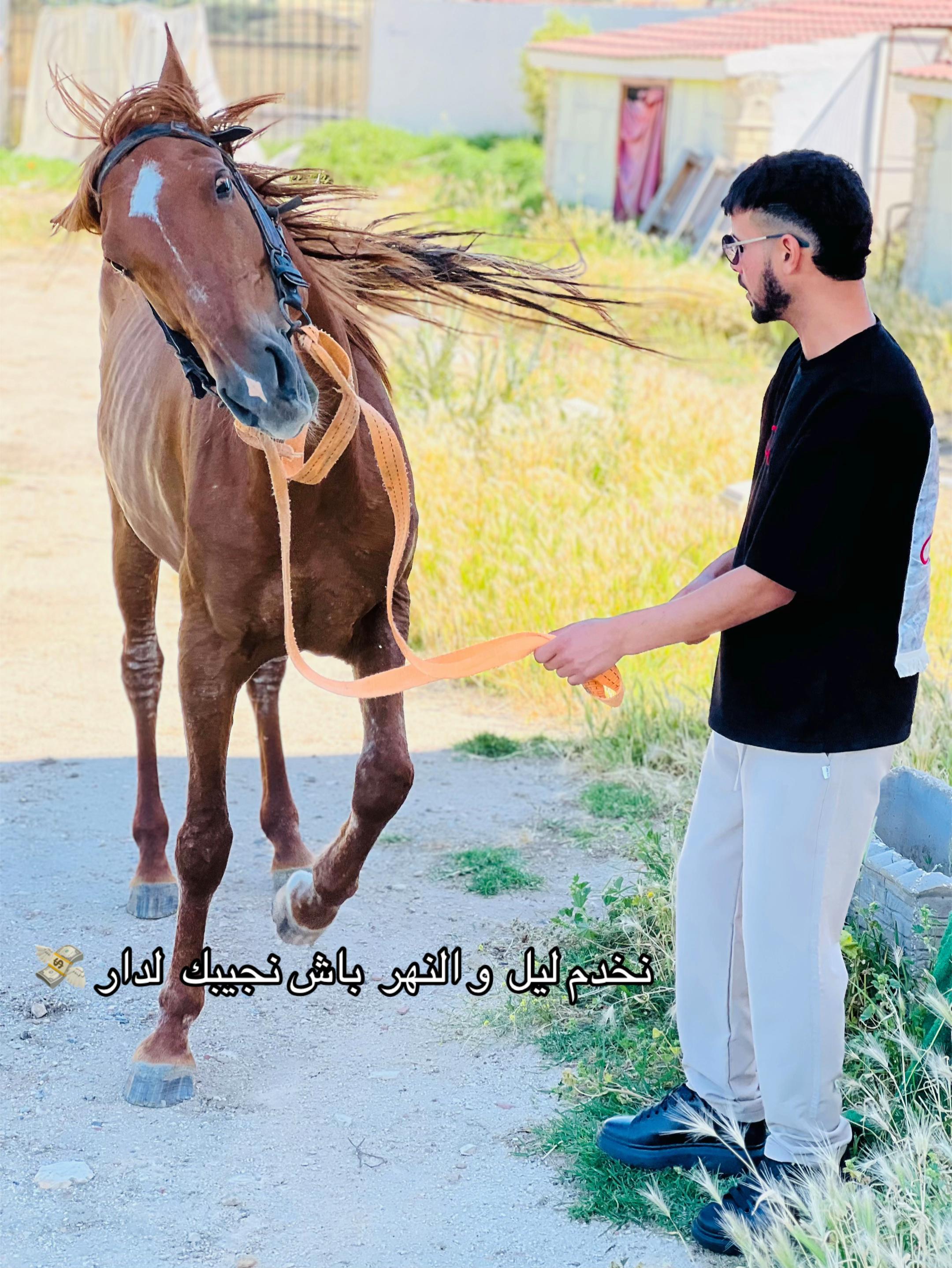 @🦁حمة:خضراوي.🦁