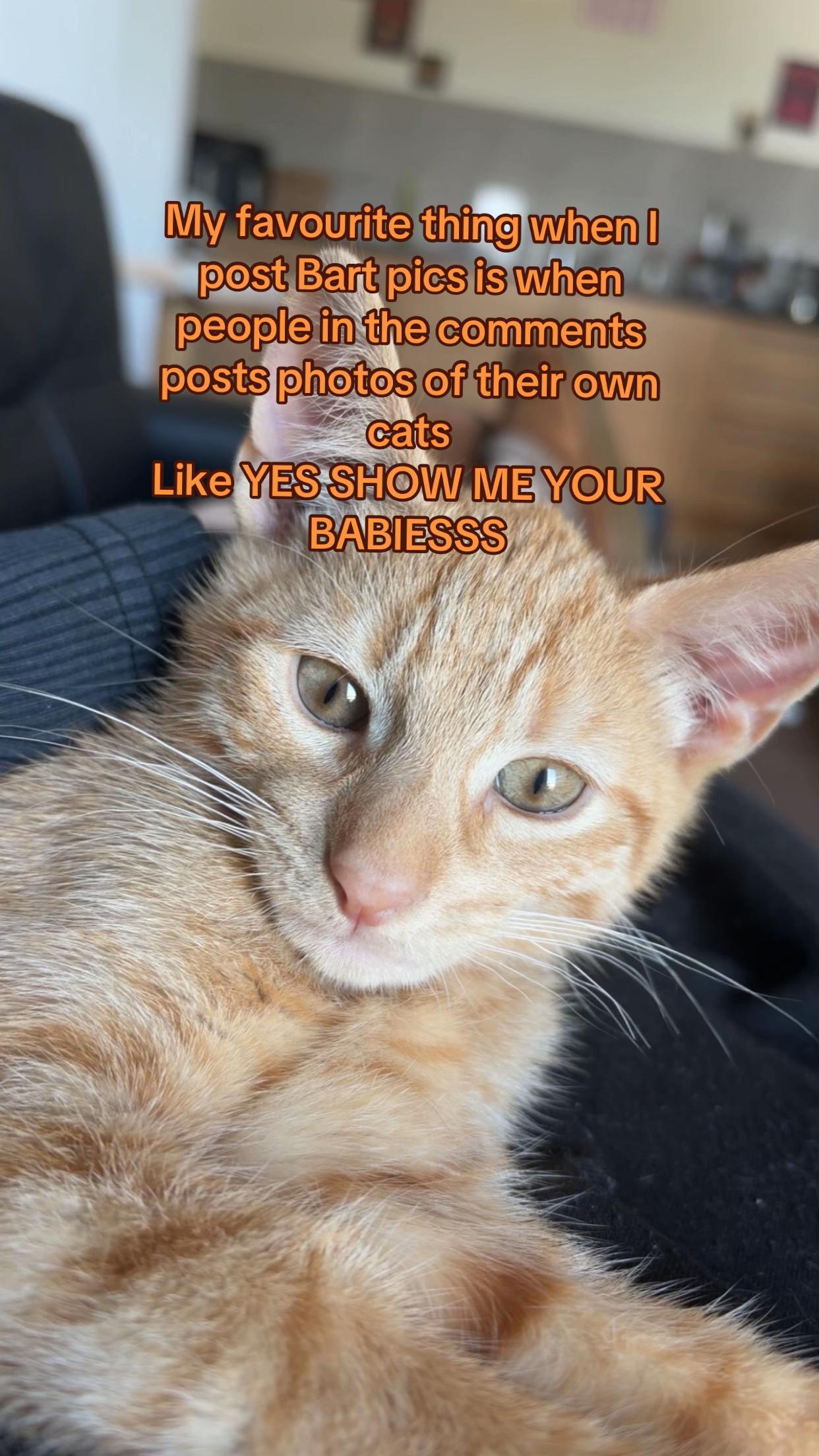 @Bart&Via🌀☯️☄️⚡️🍀🌬️🧿✨☮️🪬🐈