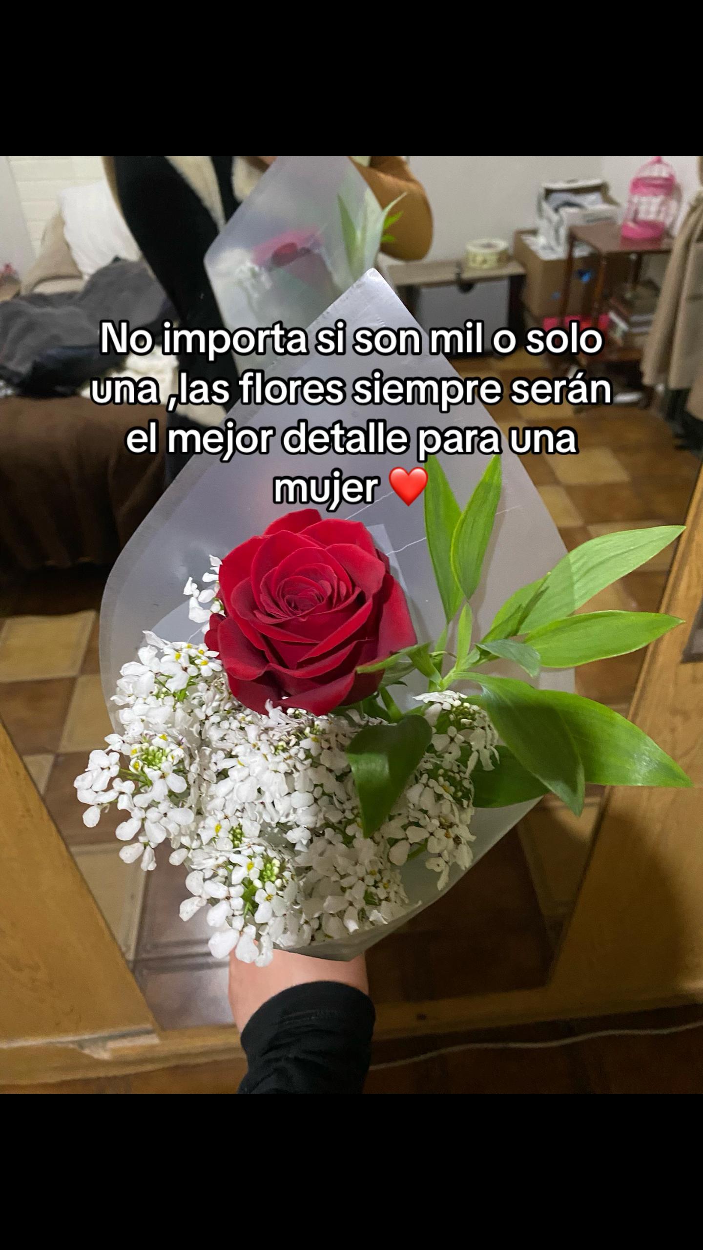 @Luna Gutiérrez