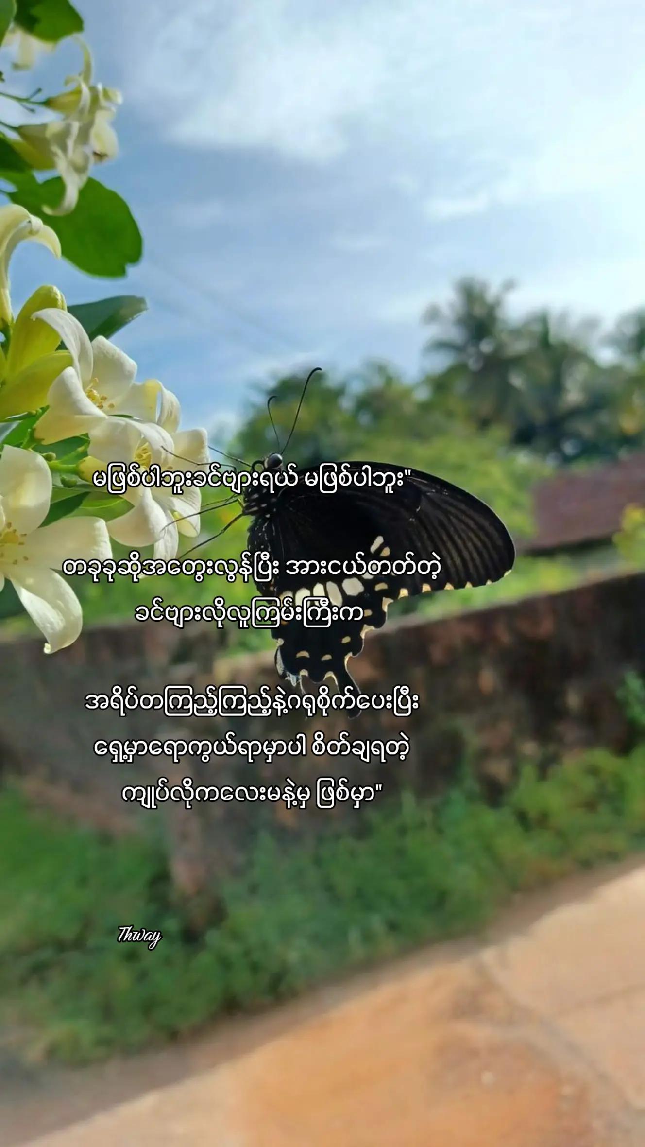 @đđđ¨đđŞ
