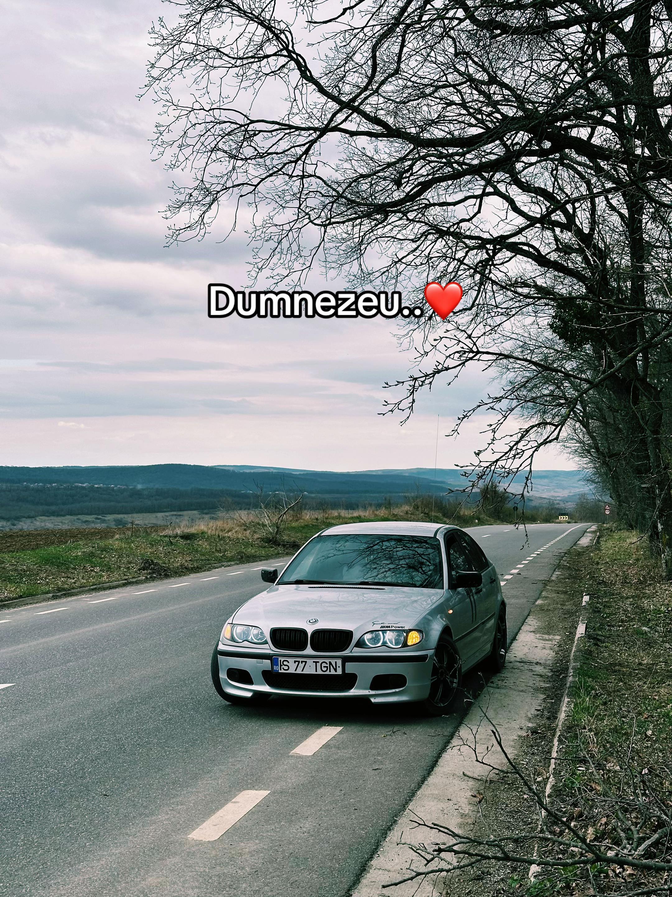 @77 TGN🦅