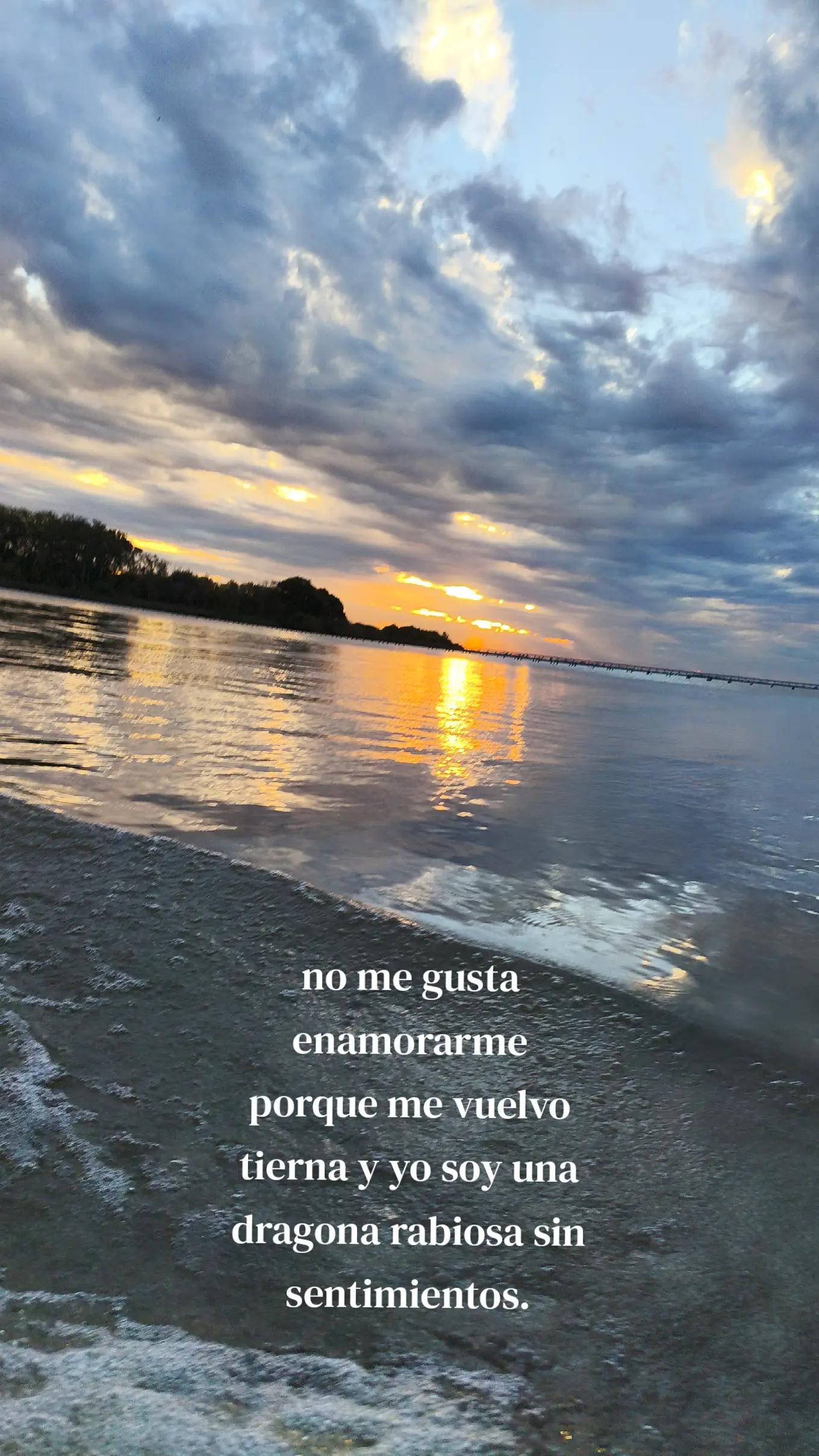 @Ana Yanett