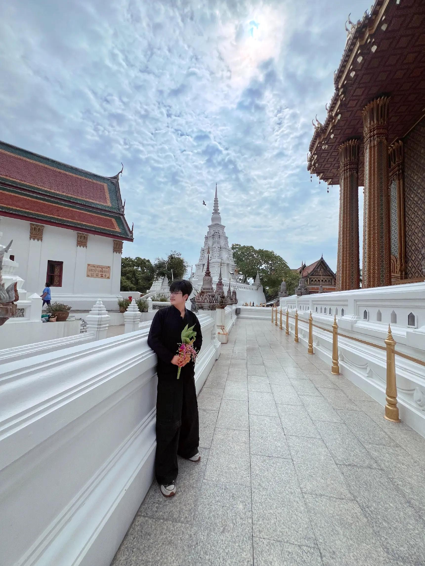 @น้องนิวมีชิวาว้าชื่อคิวซี