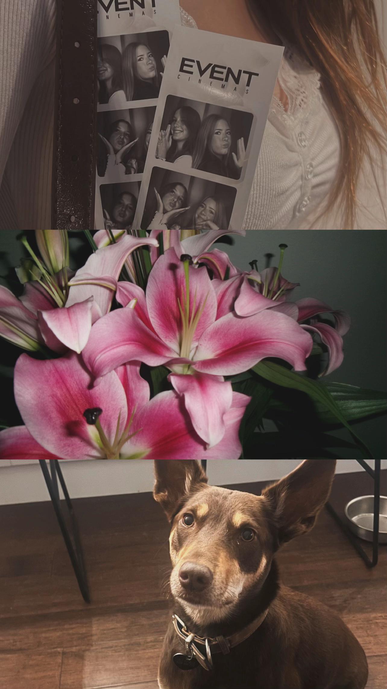 @madi crawley