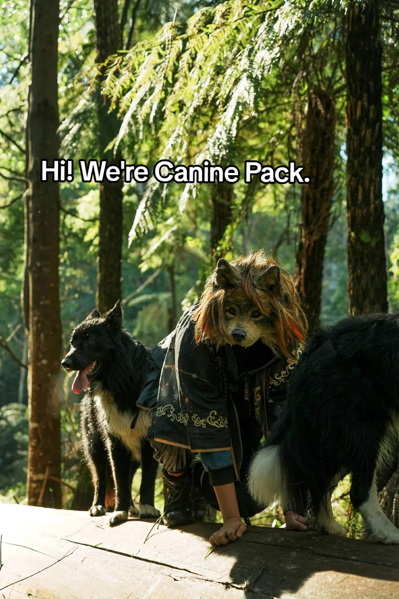@Aspen is a wolf