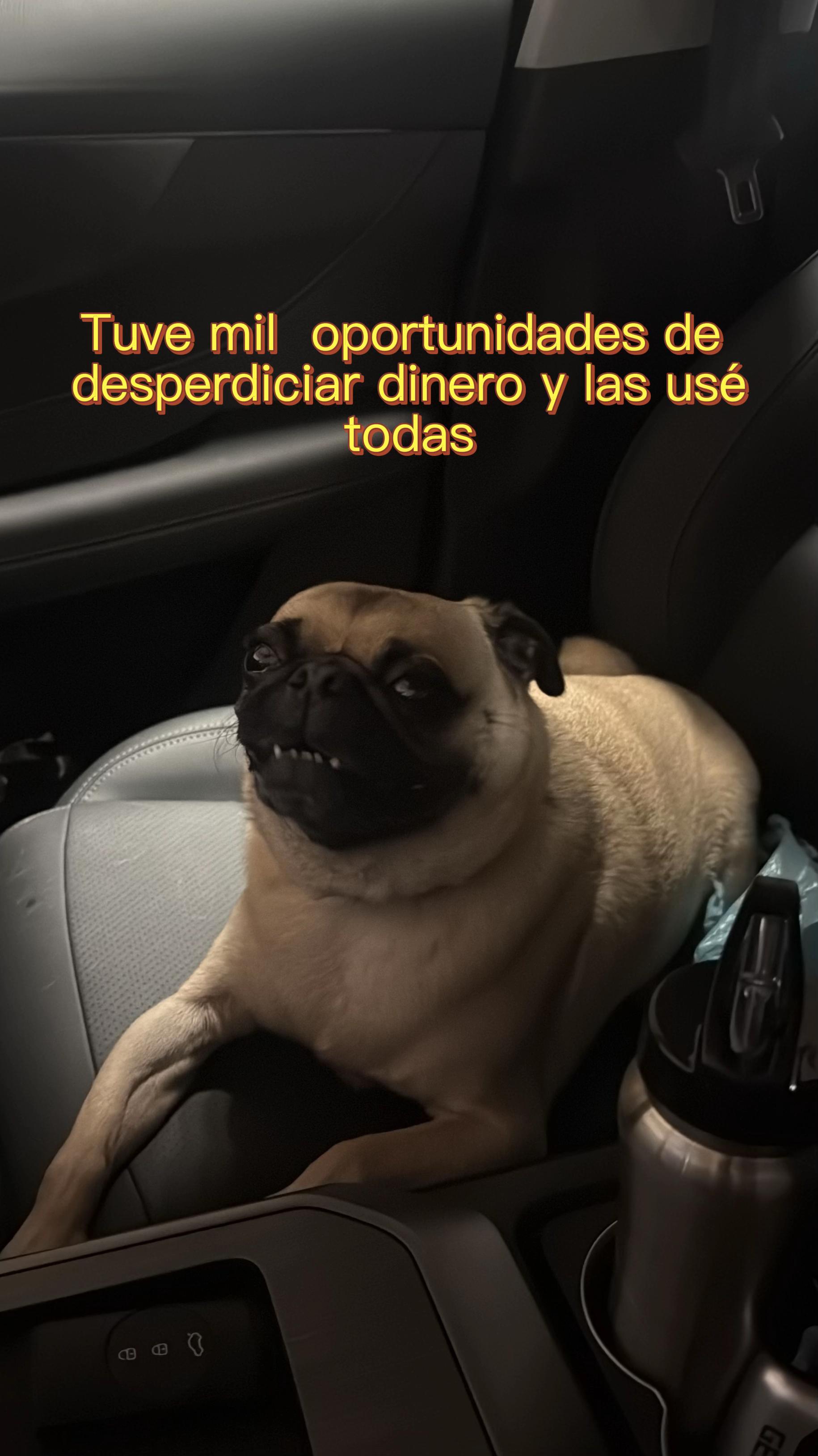 @Alexa&elcarnalchiss
