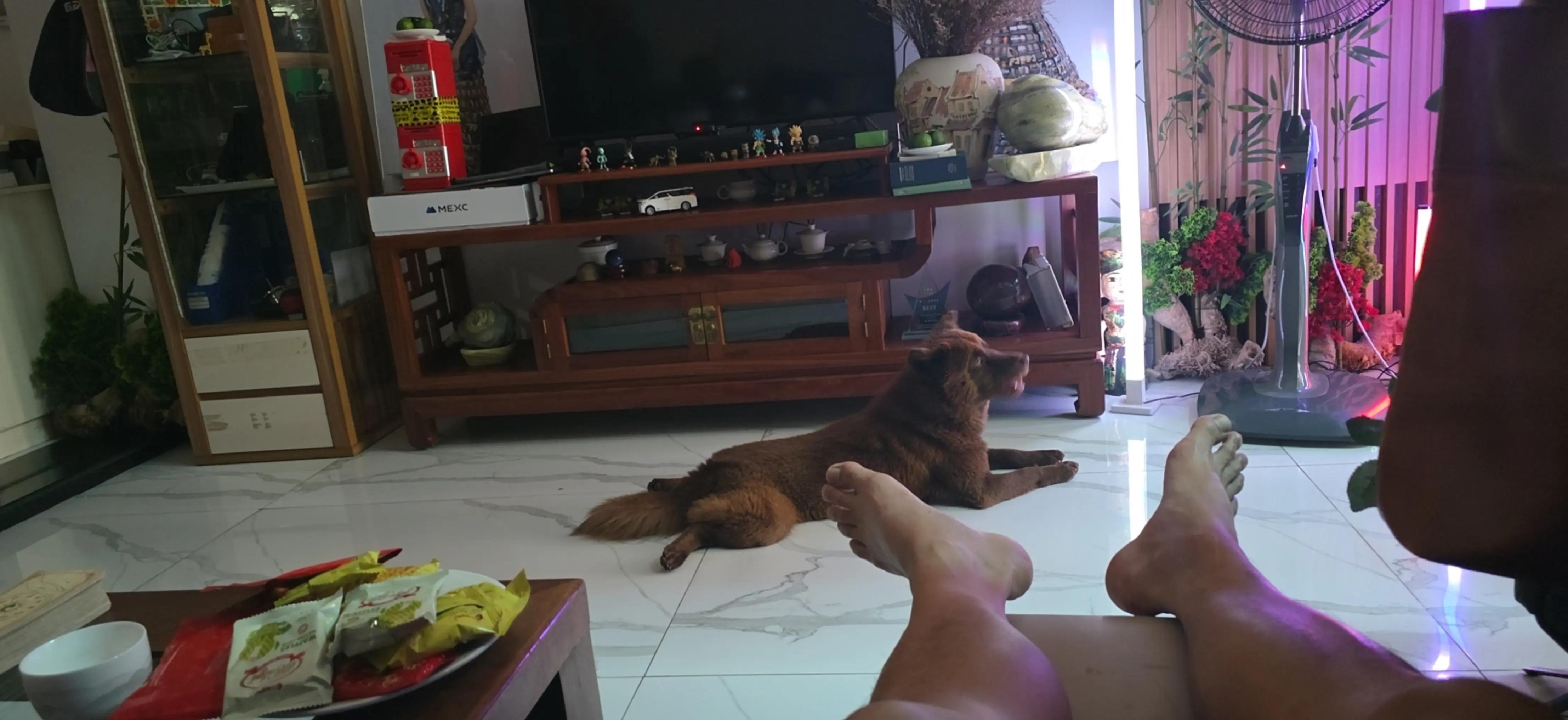 @&ocirc;ng gi&agrave; đầu tư 👴 b&aacute;n s&aacute;ch