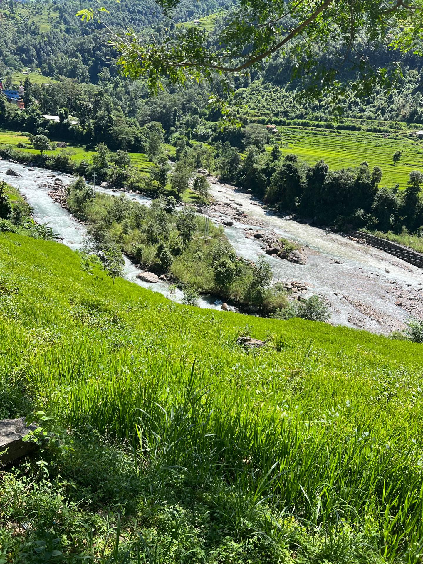 @BharatNepal@111