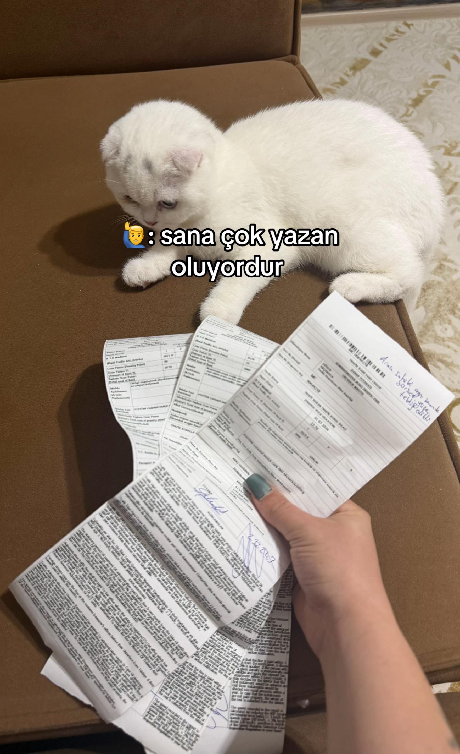 @Ayb&uuml;ke Kadı