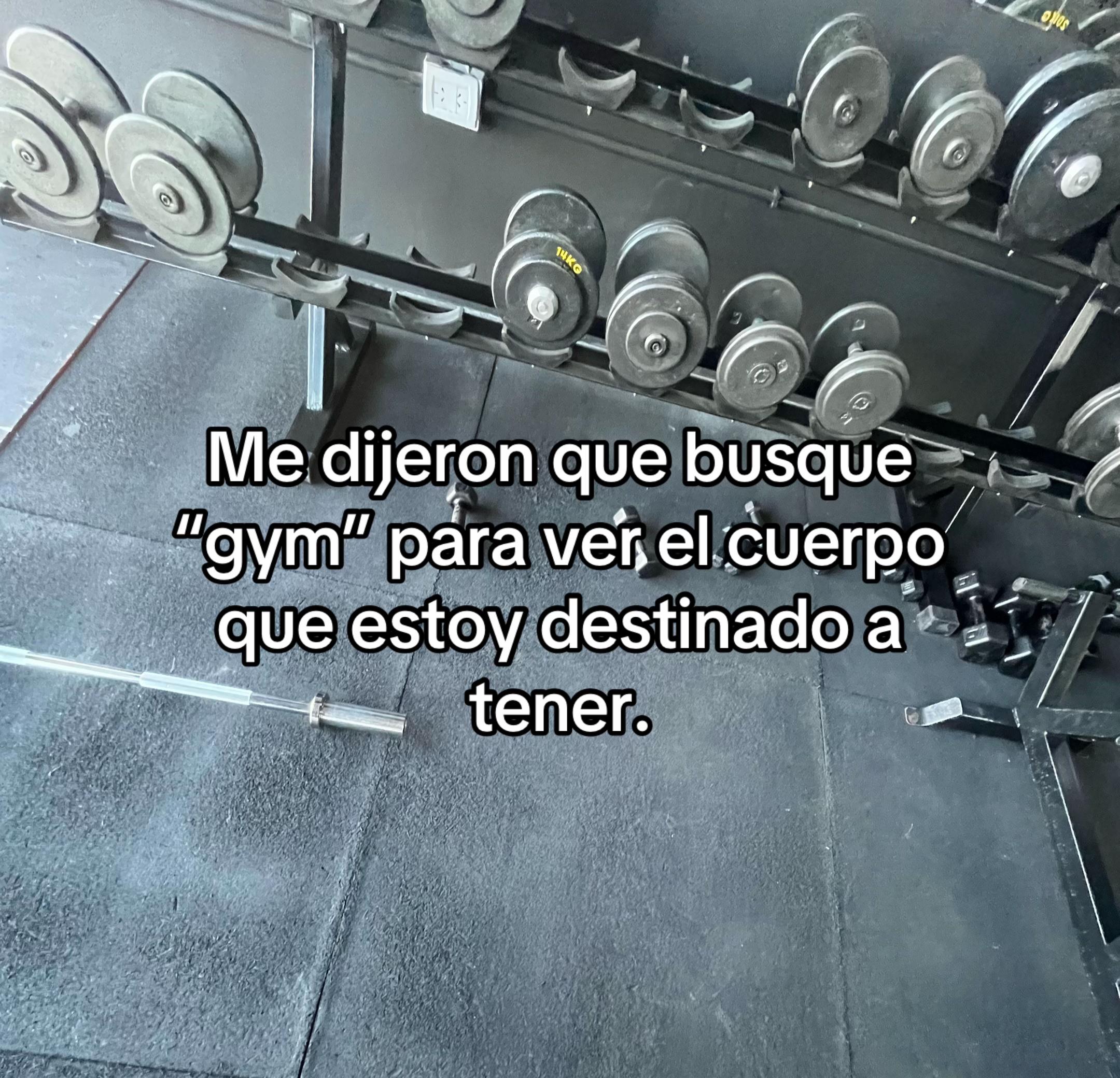 @Conejo🐇