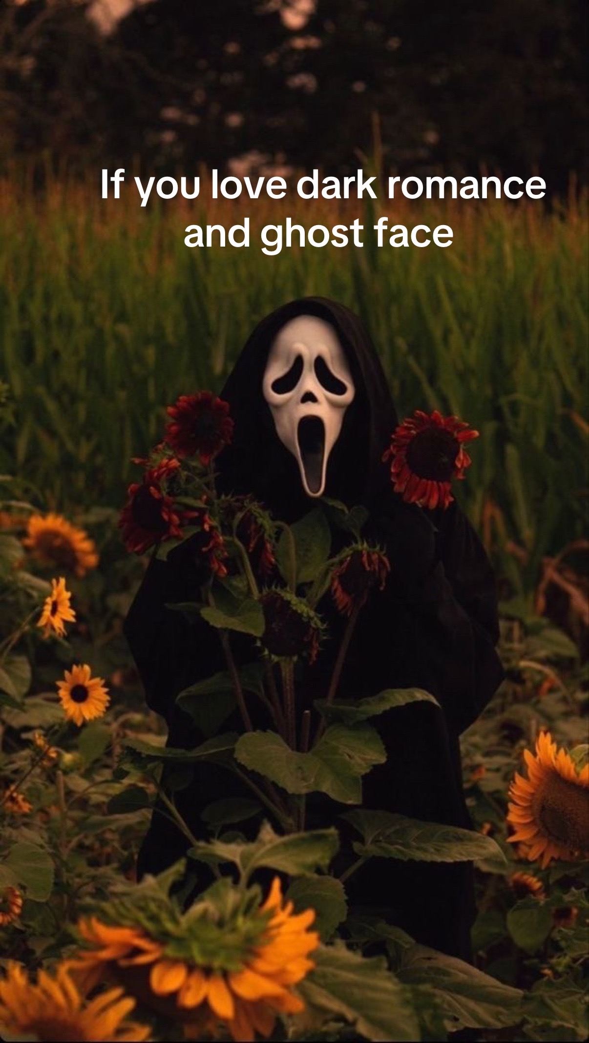 @Sabrina