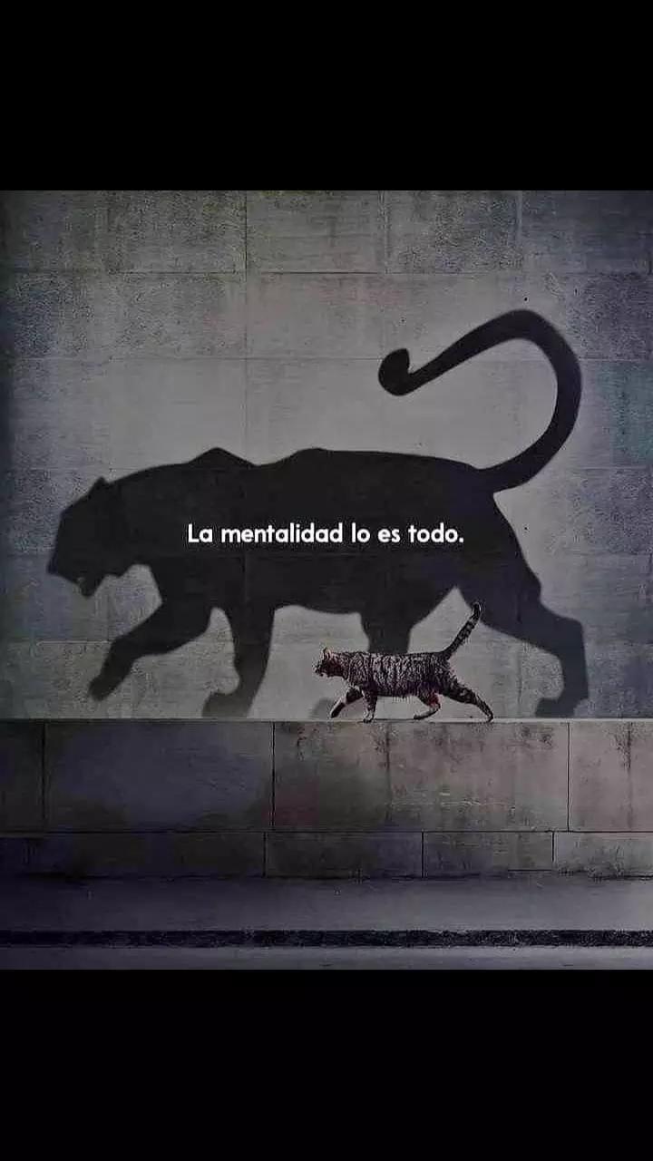 @Isabel Ibáñez