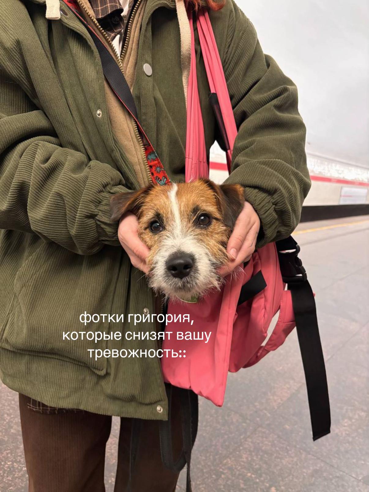 @๑ светлая полоса ๑