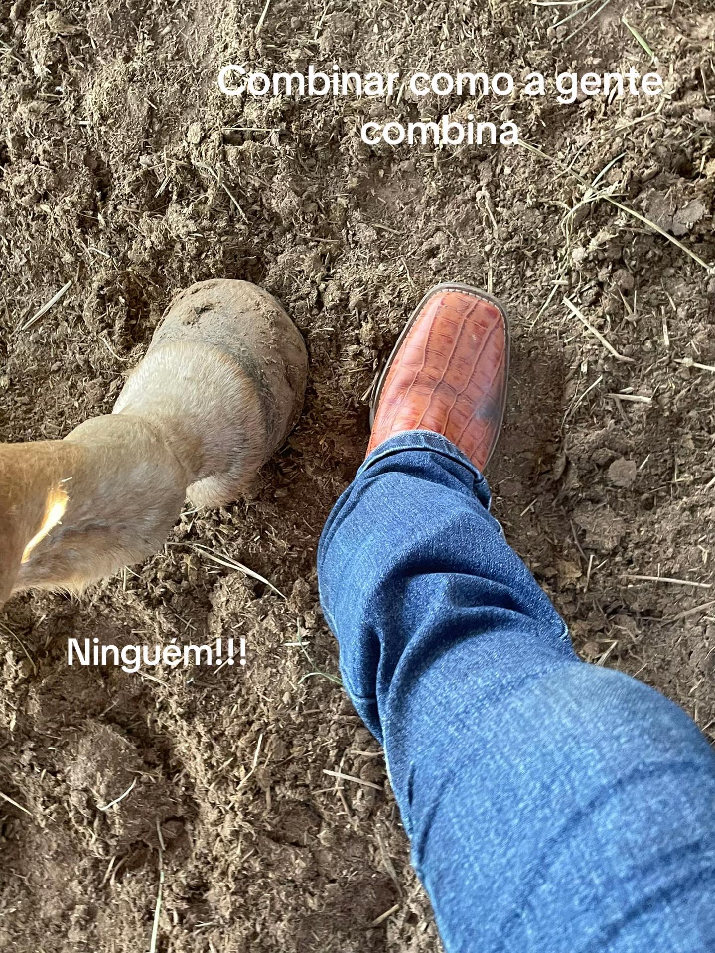 @Thor & cookie🐴🐰