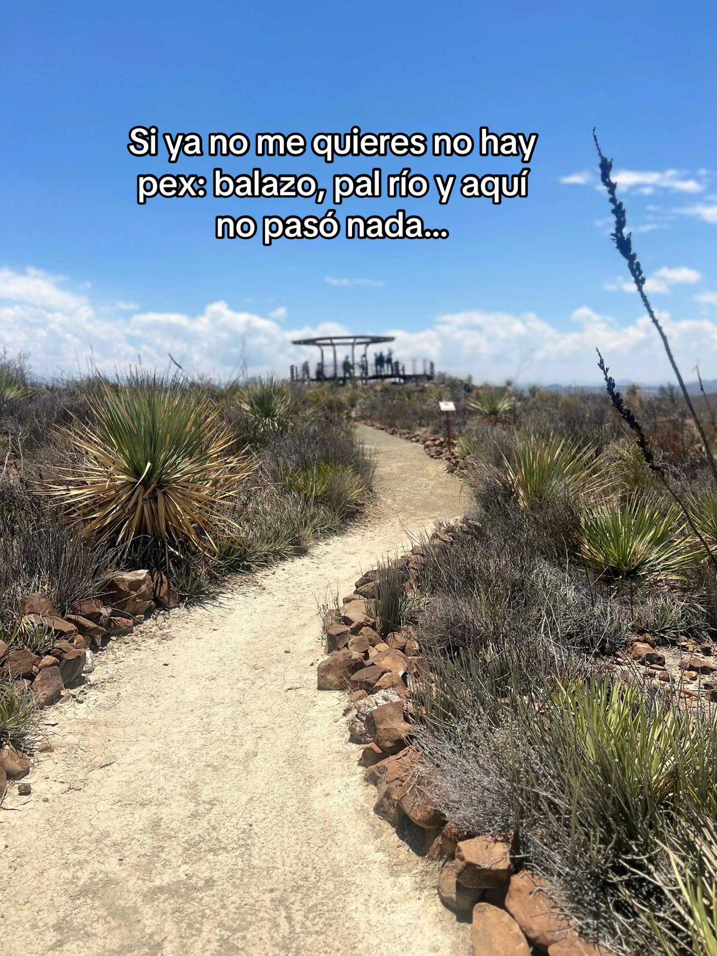 @Desertique
