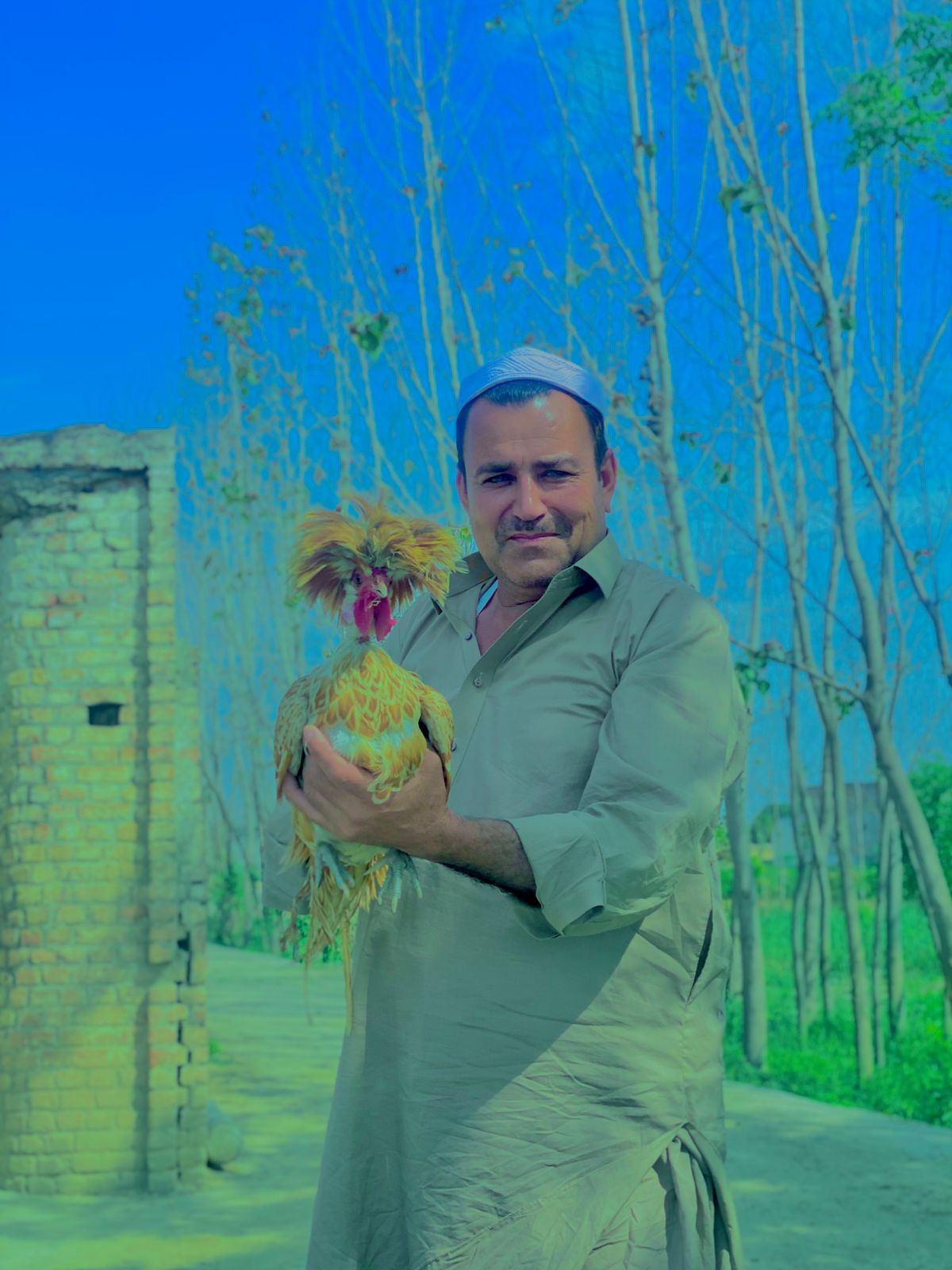 @Rihan khan
