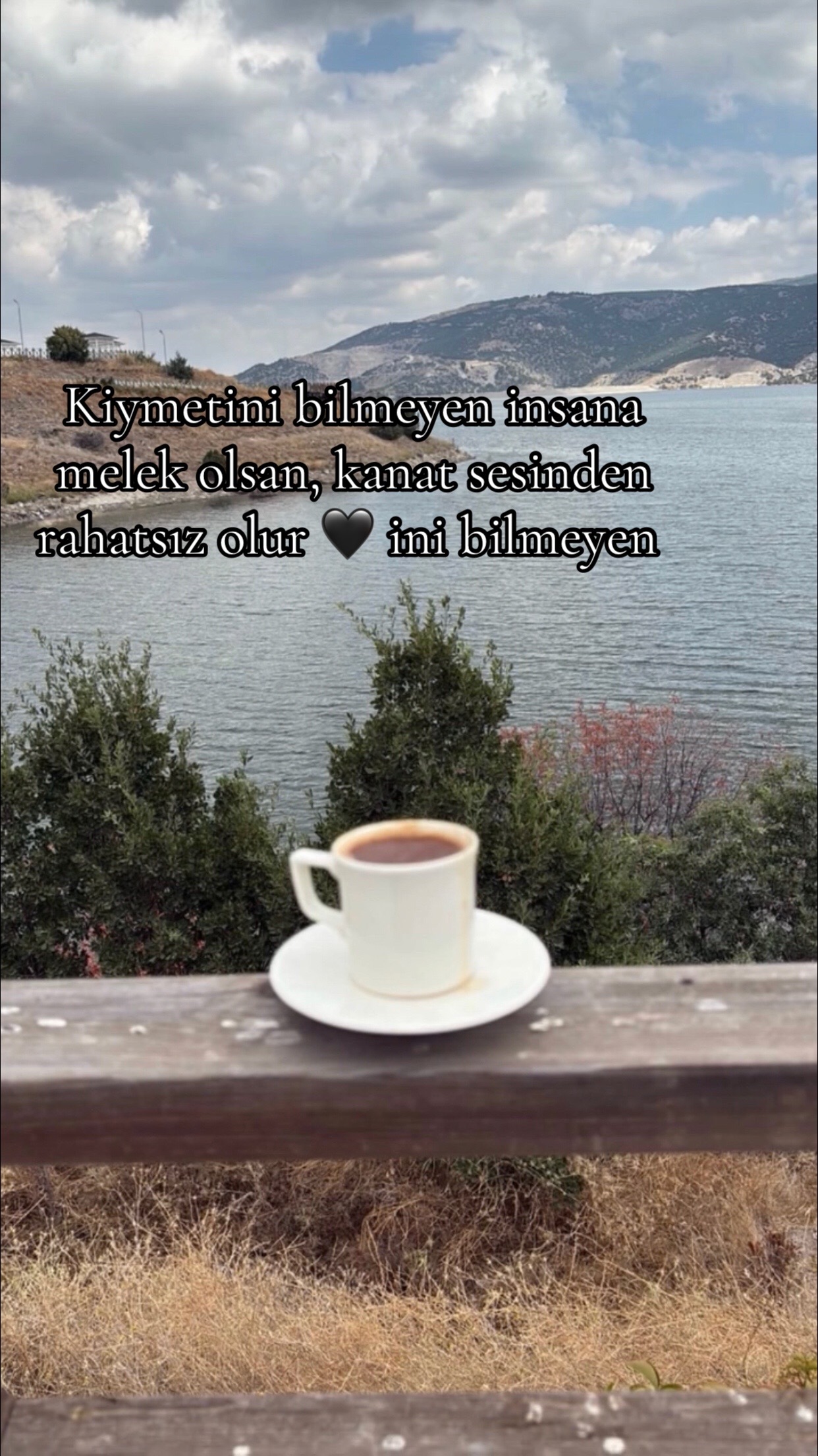@MELEK 🎀
