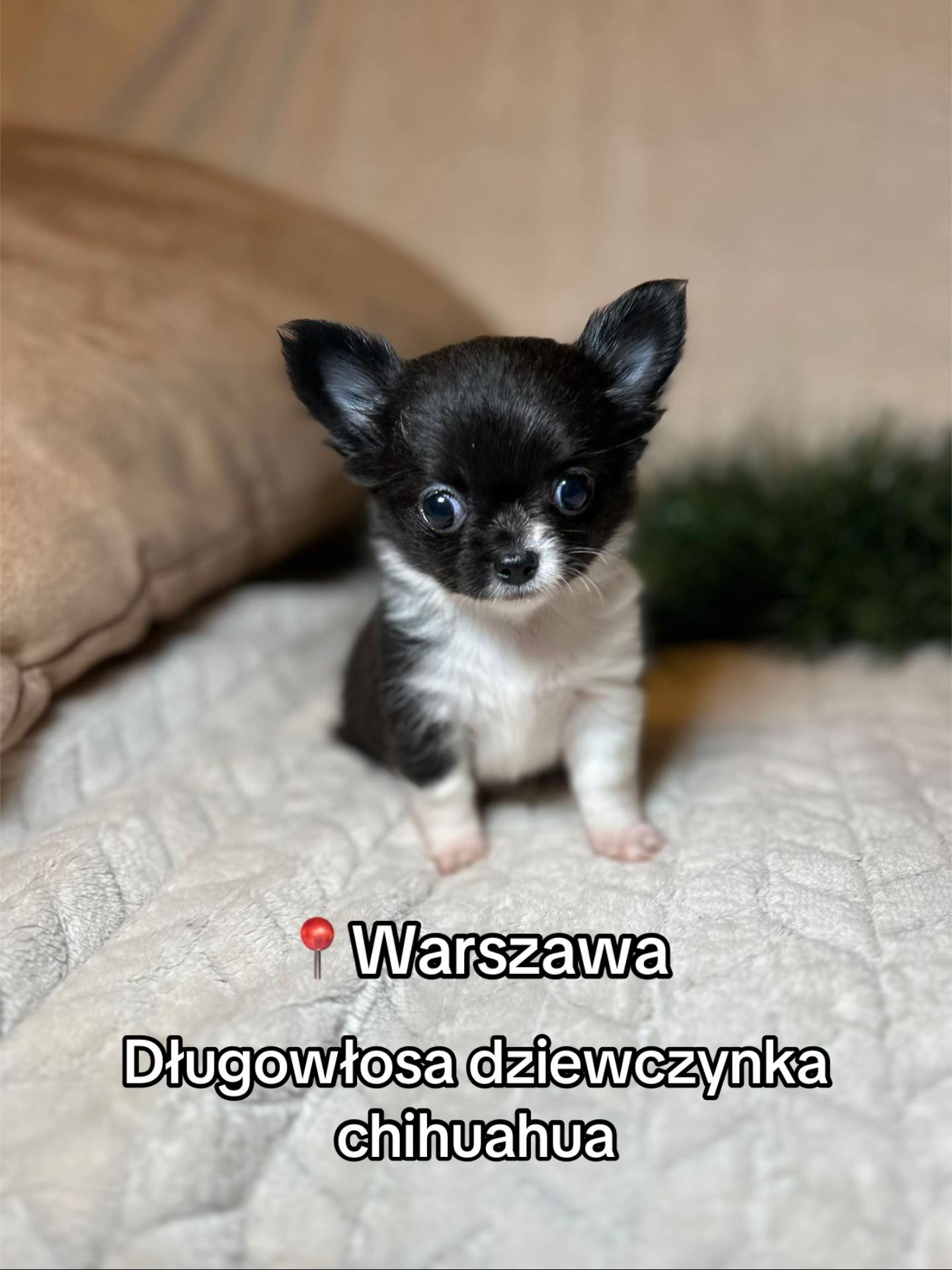 @Ulybki_lilu