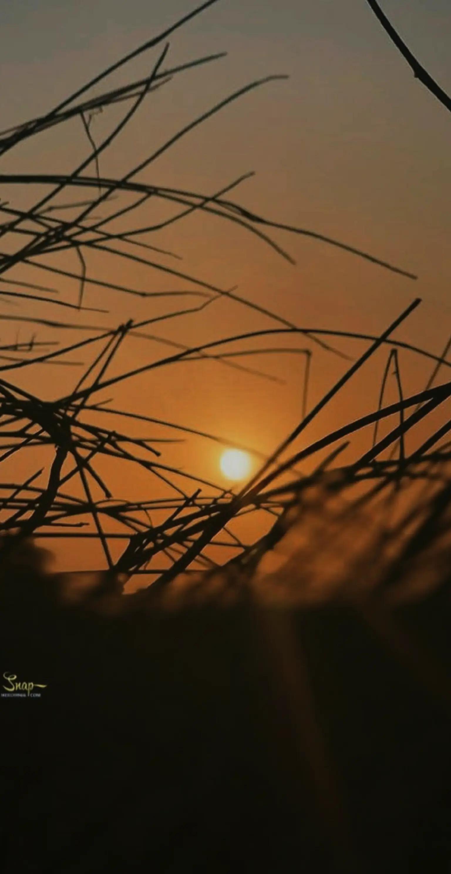 @هـيروو||📸"ᵉᶦ''