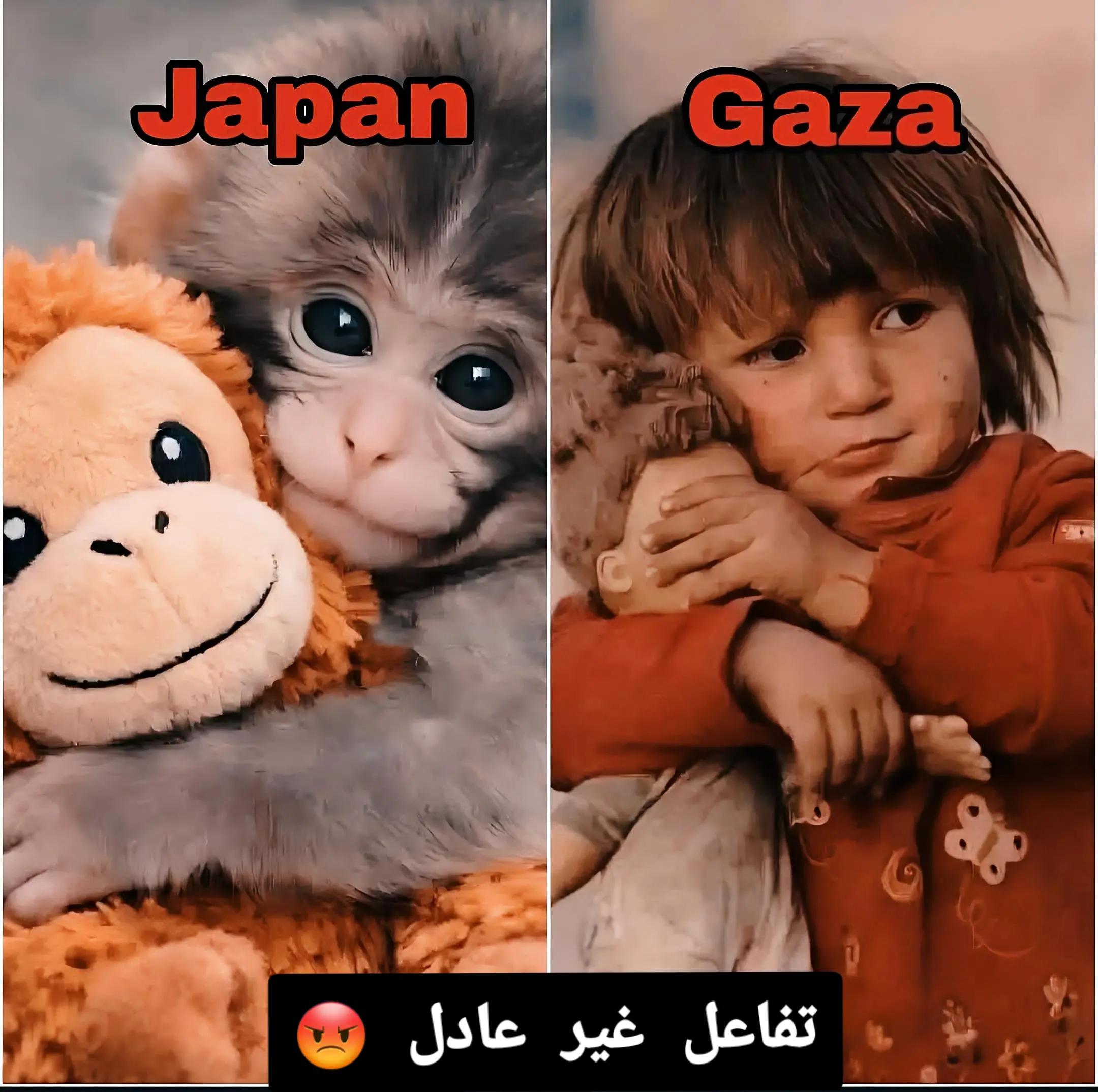 @Walid Joshua Bennon