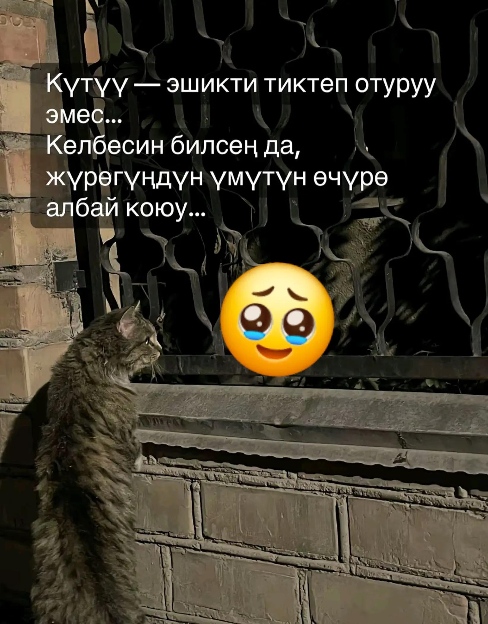 @🕋👩💻🤲🤲