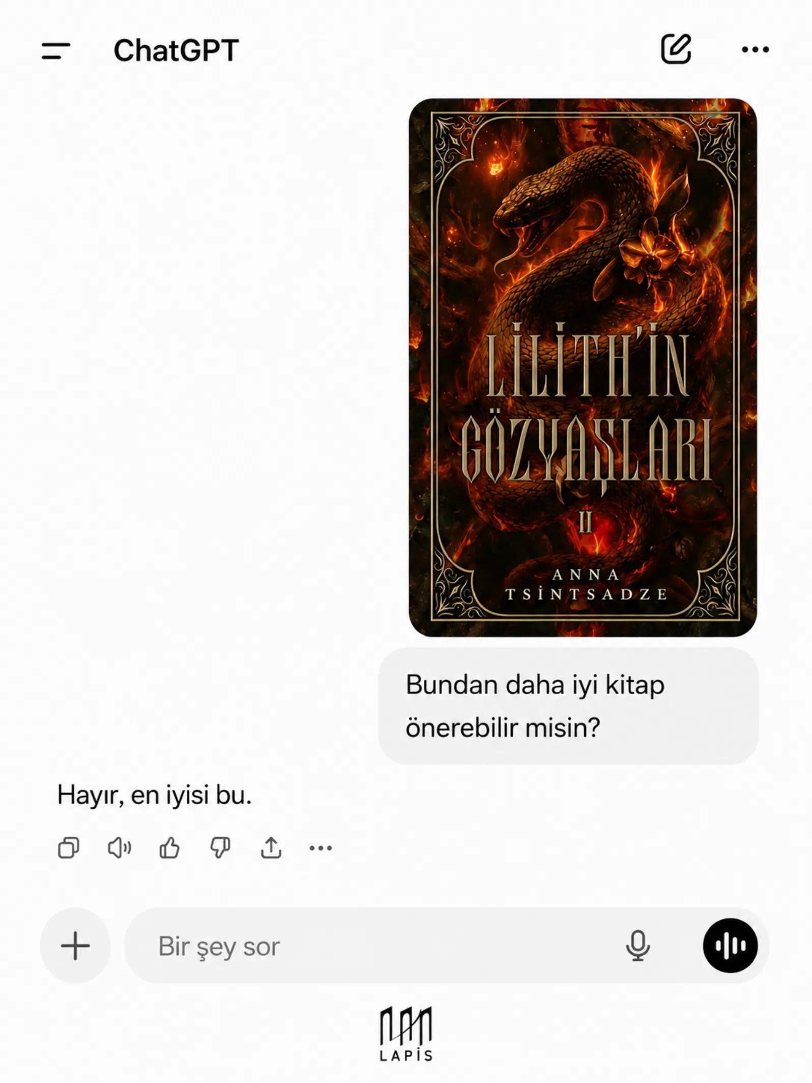 @LAPİS YAYINLARI