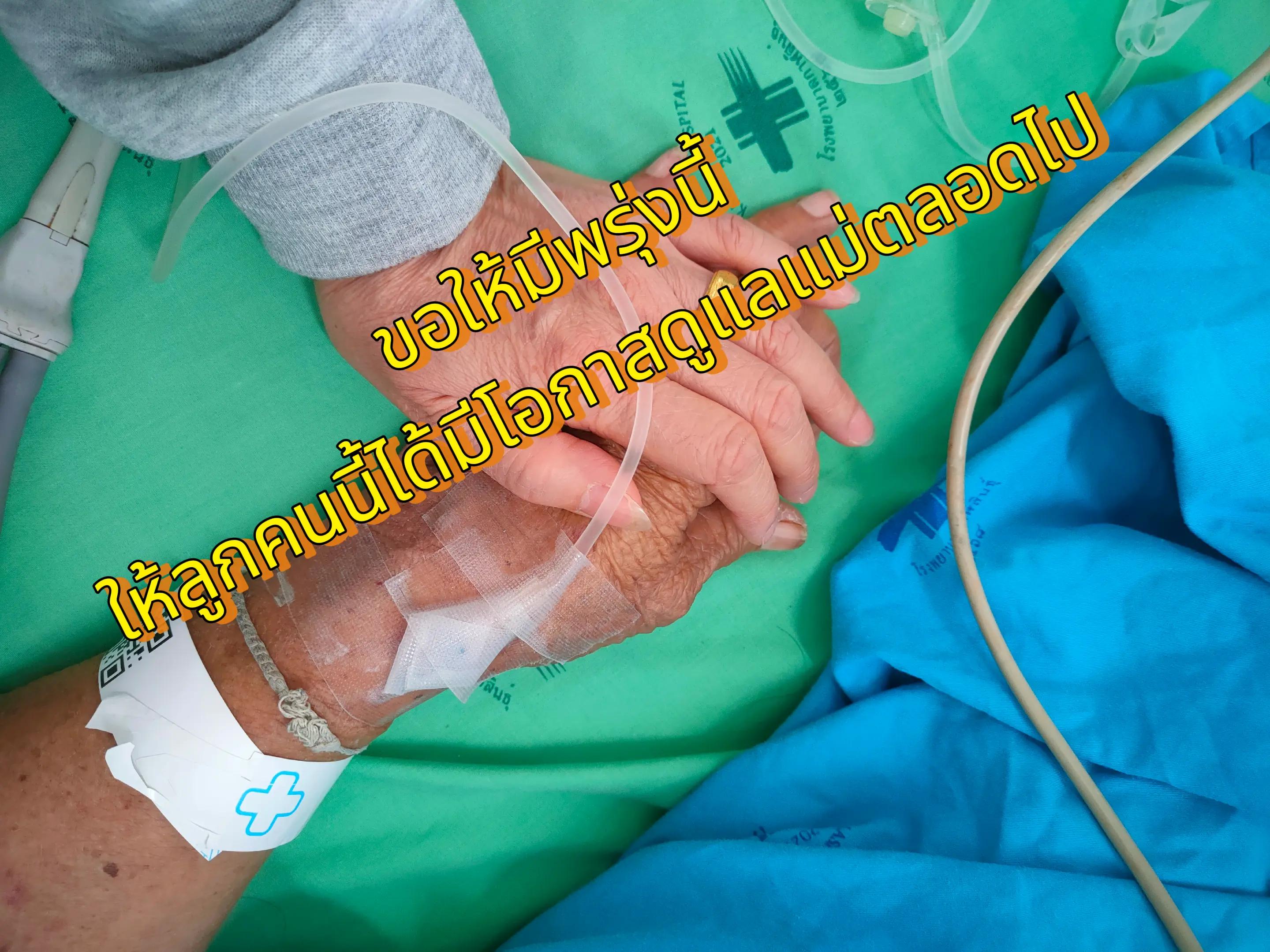 @ใบเตย