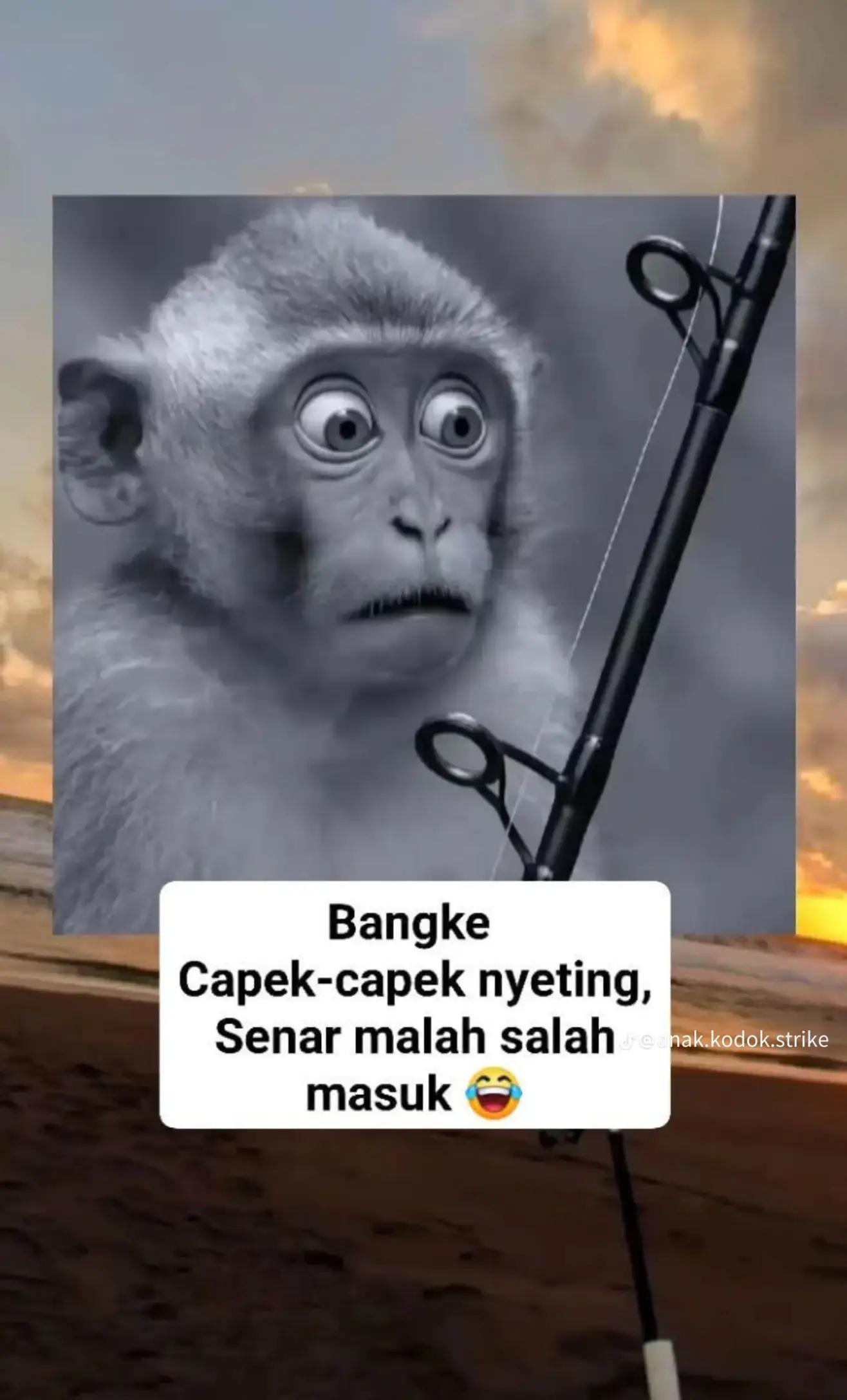 @storymancing7