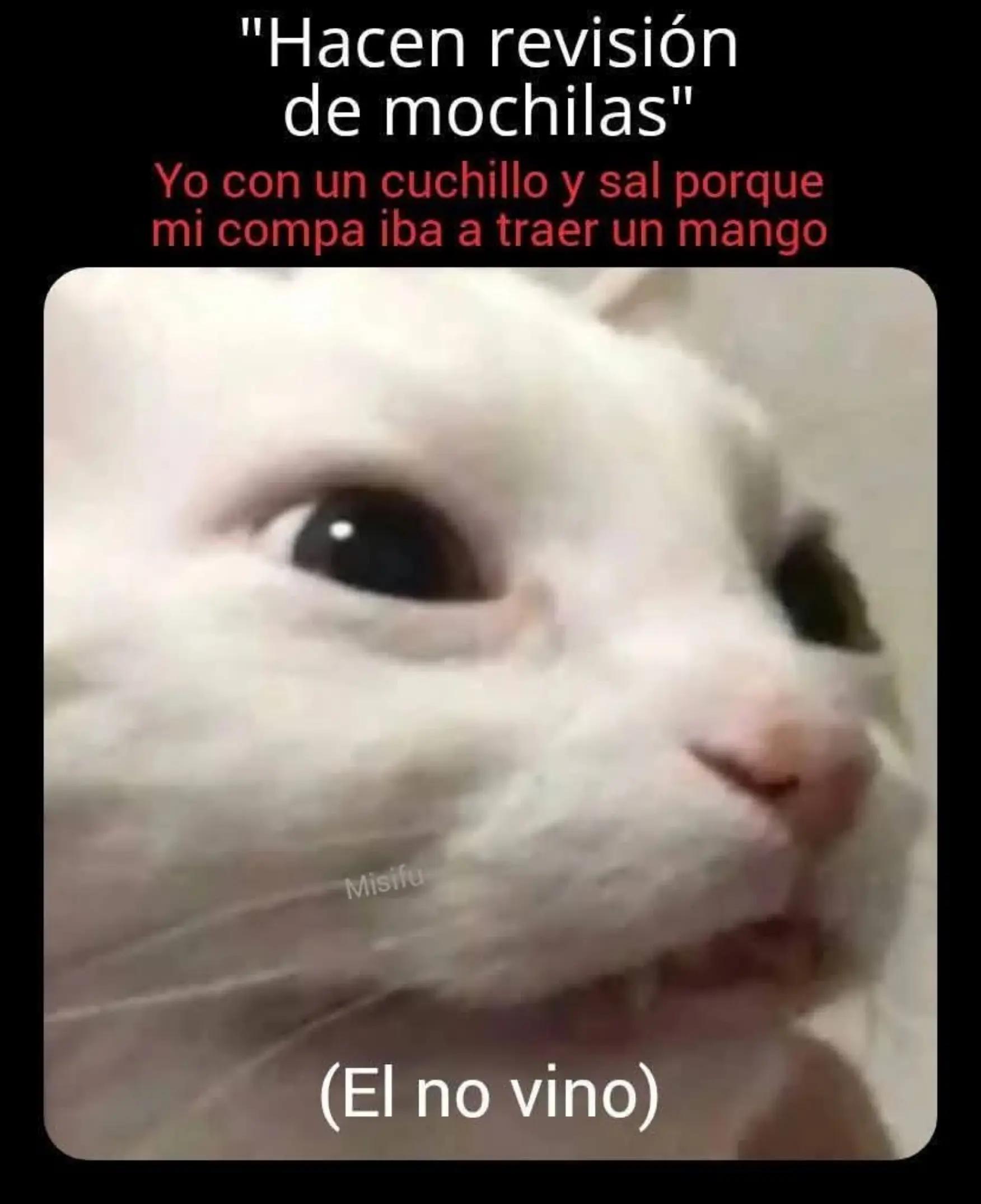 @yuliocesar029