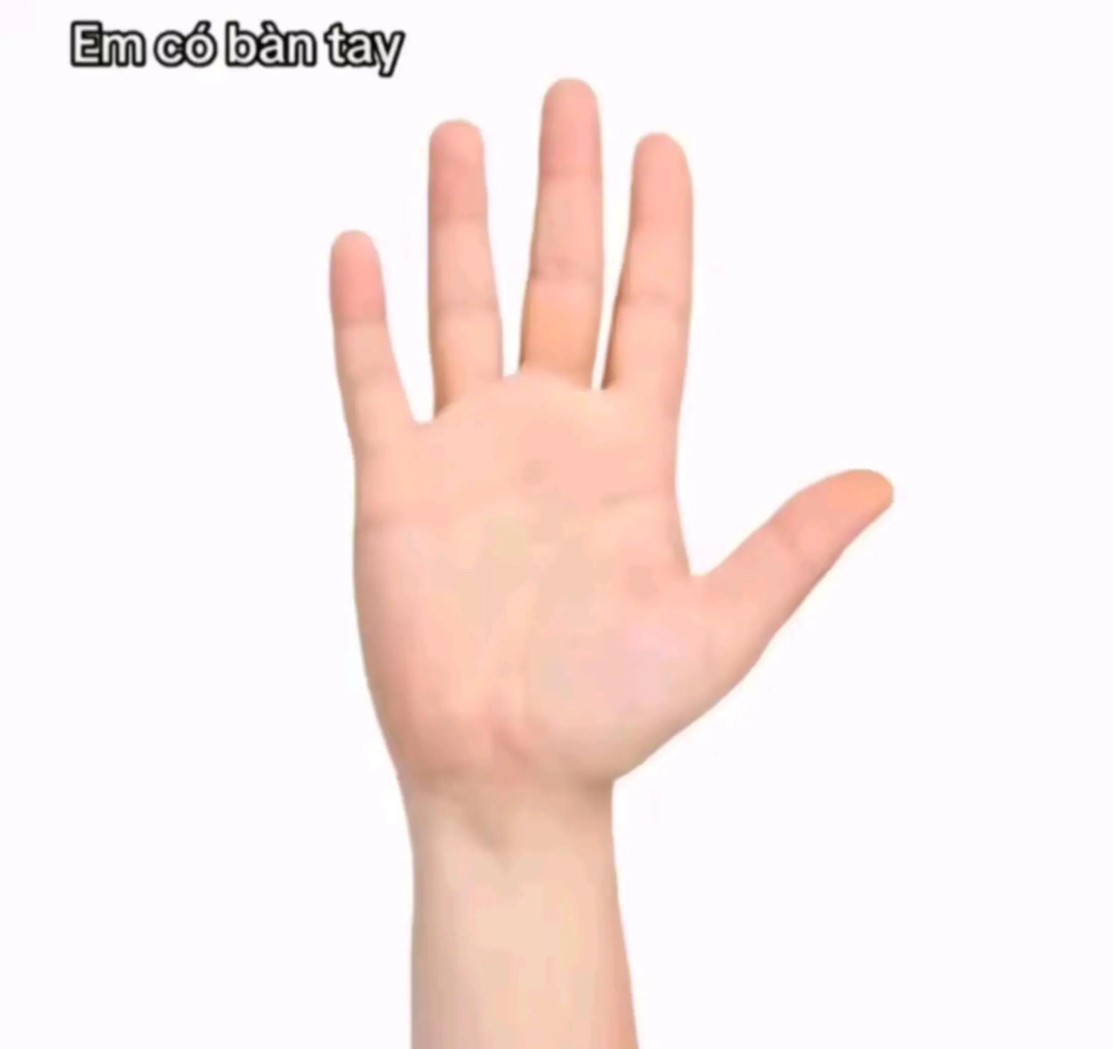 @𝑍𝐲𝐲