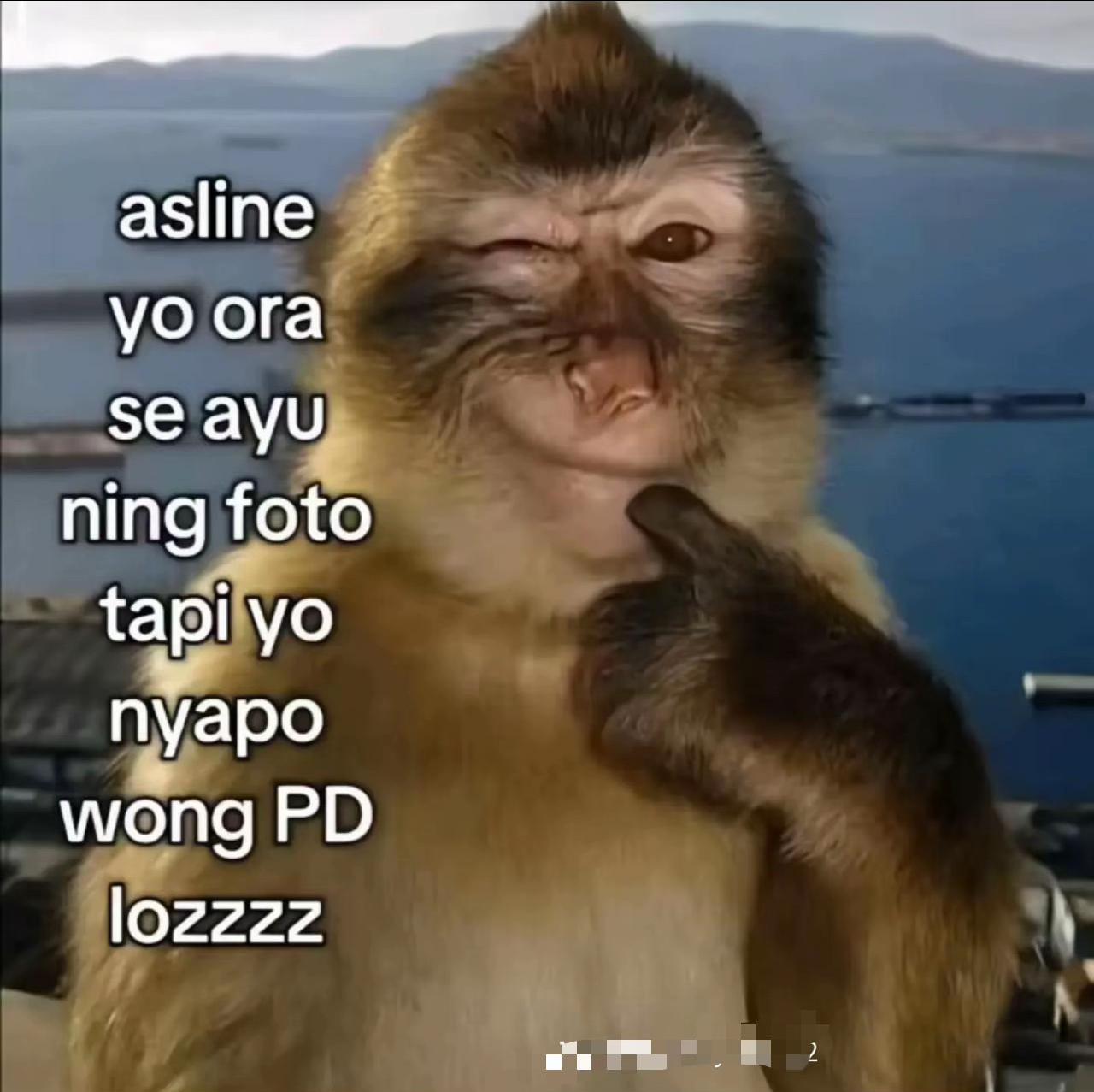 @Millaajasayang