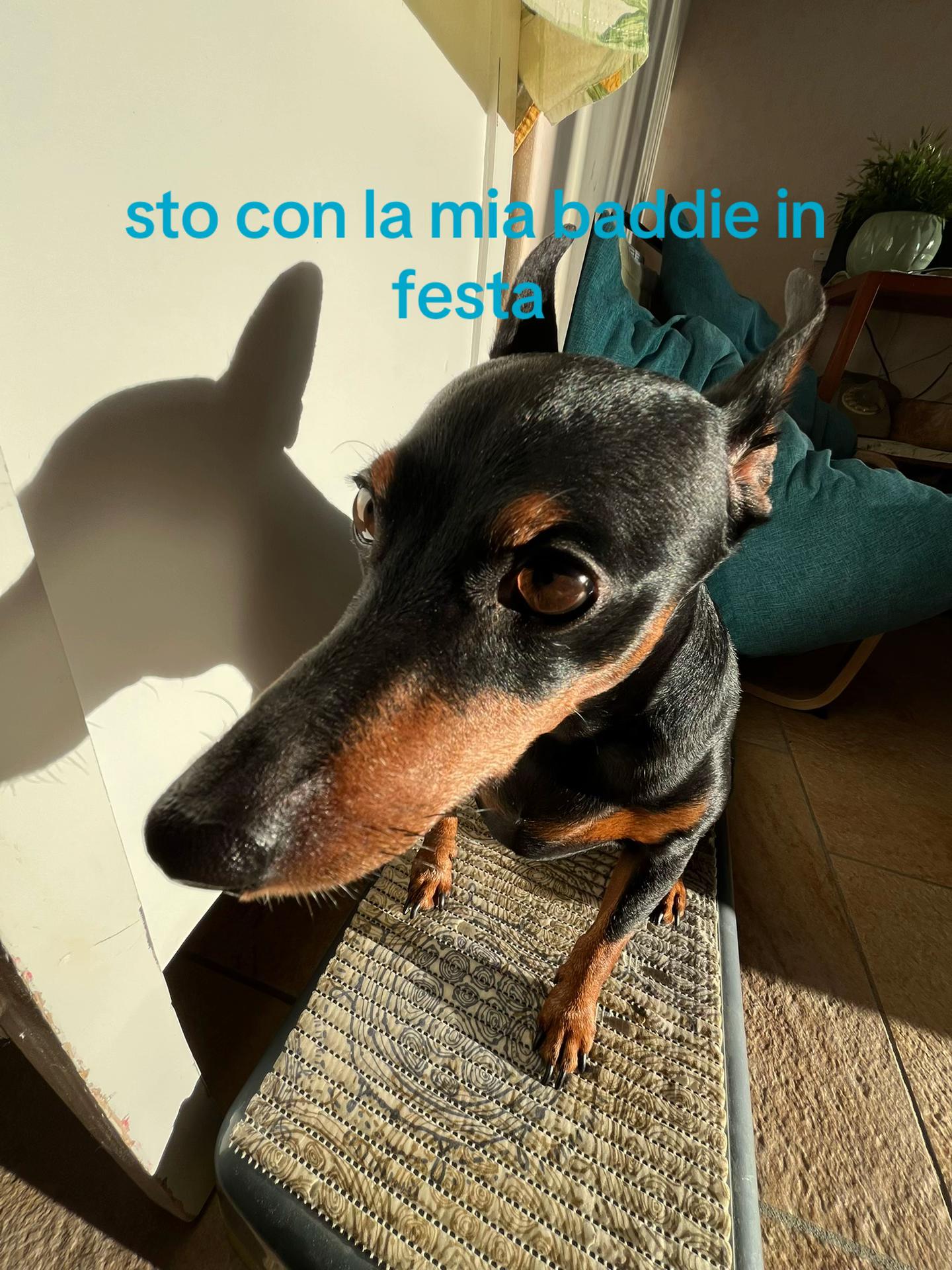 @vvaleria.pasquu